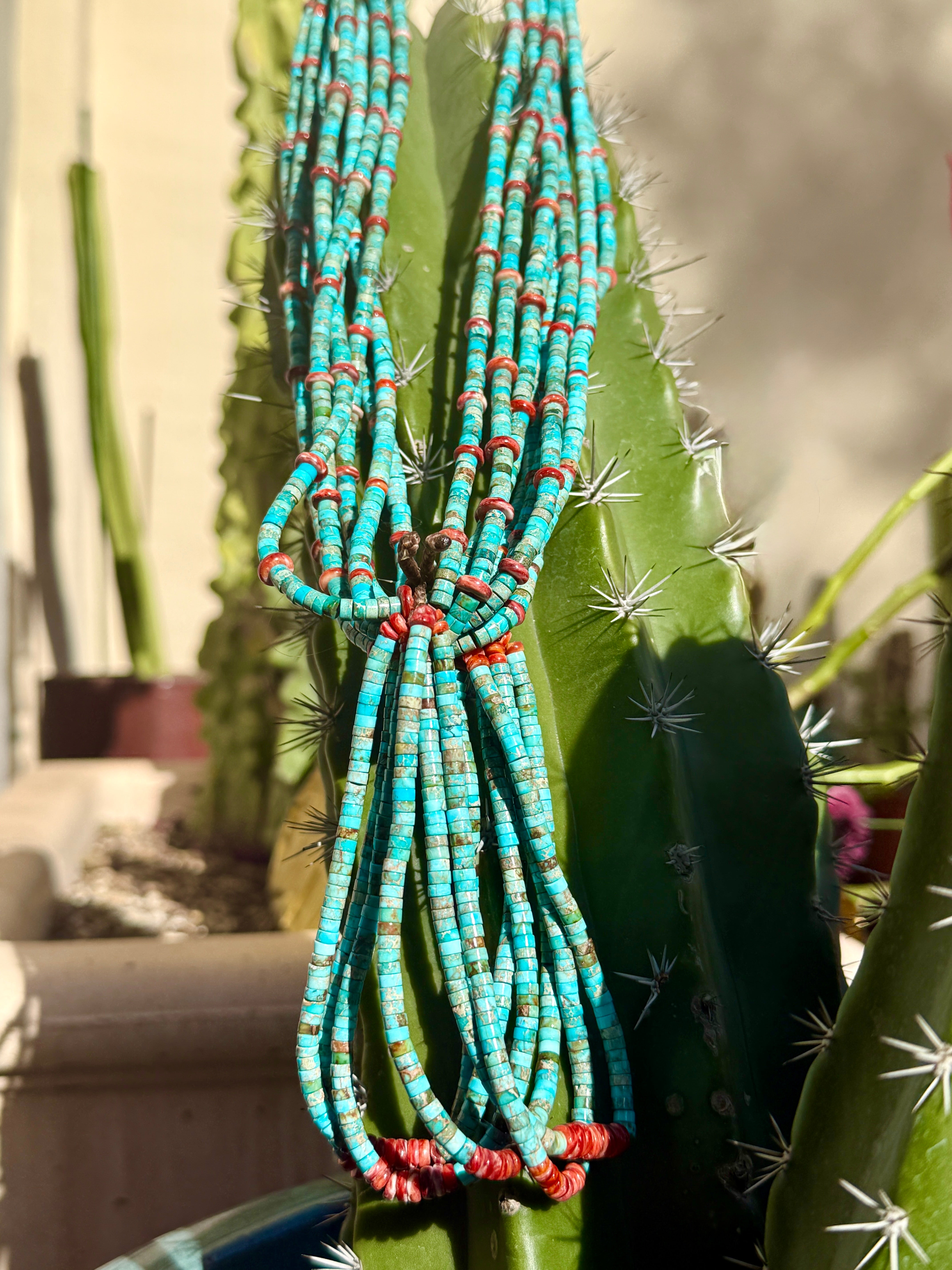 Rare King Manassa Turquoise and Red Spiny Oyster Jacla Santo Domingo