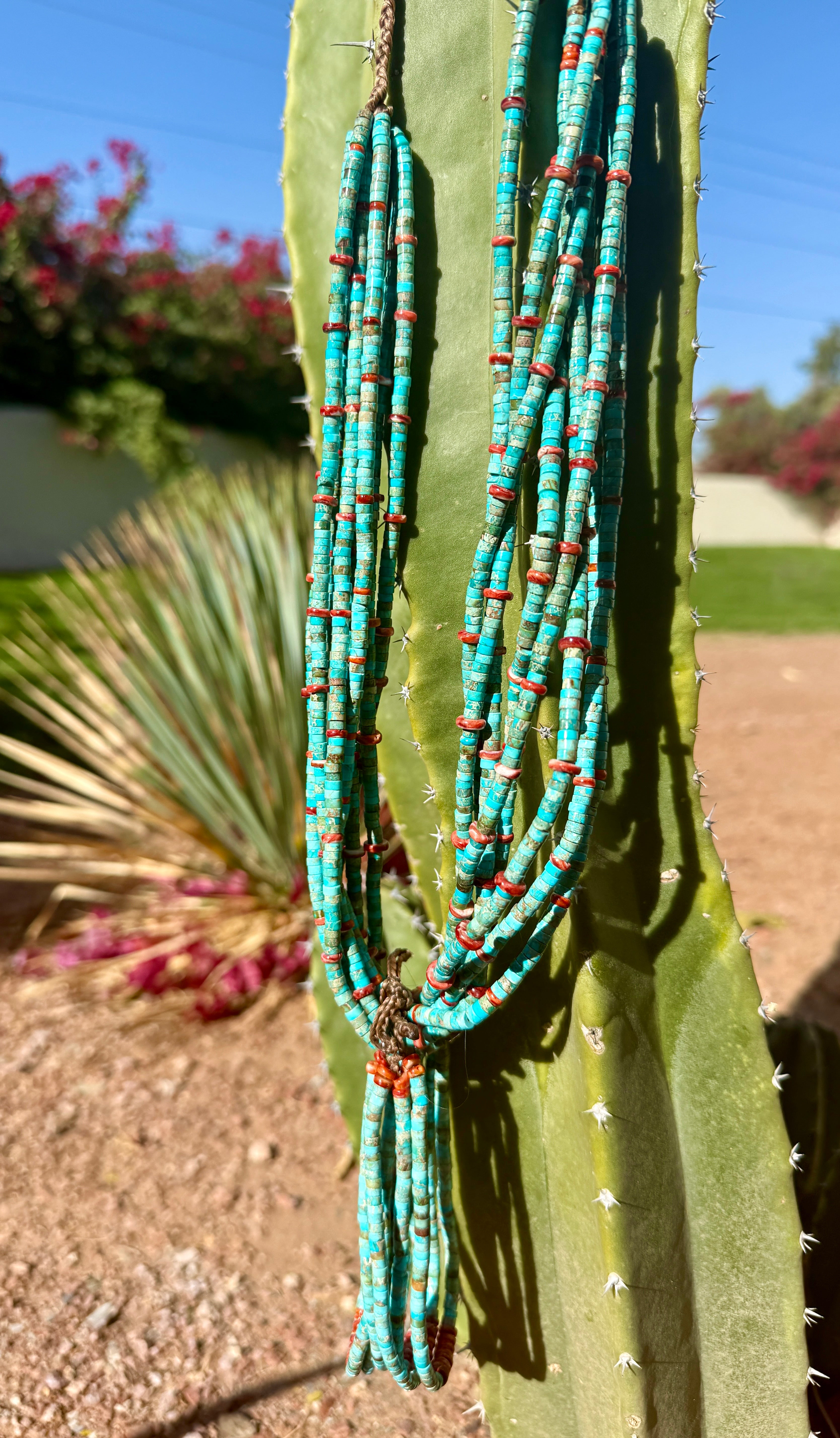 Rare King Manassa Turquoise and Red Spiny Oyster Jacla Santo Domingo