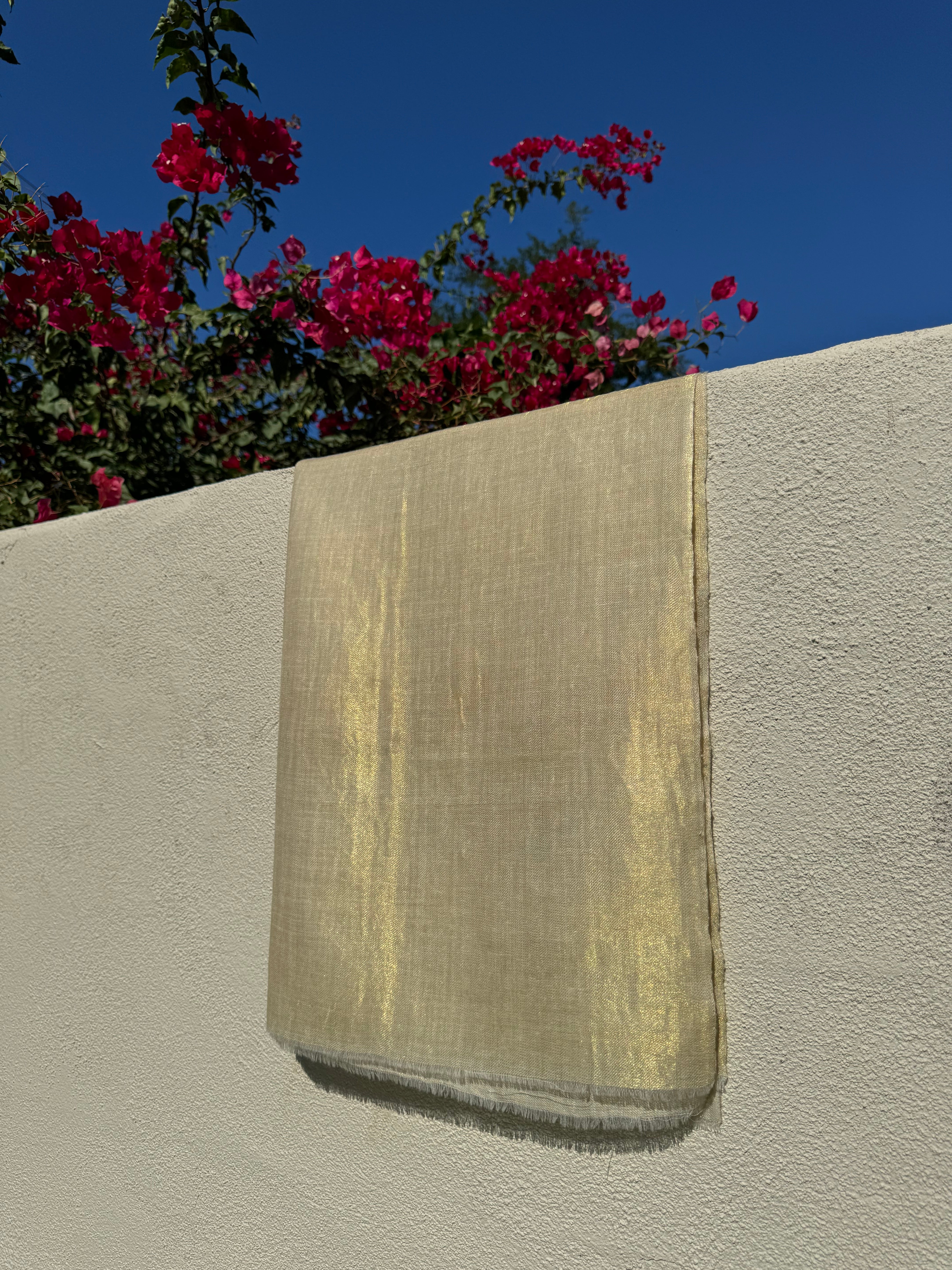 Golden Delight Metallic Pashmina Kashmiri Shawl