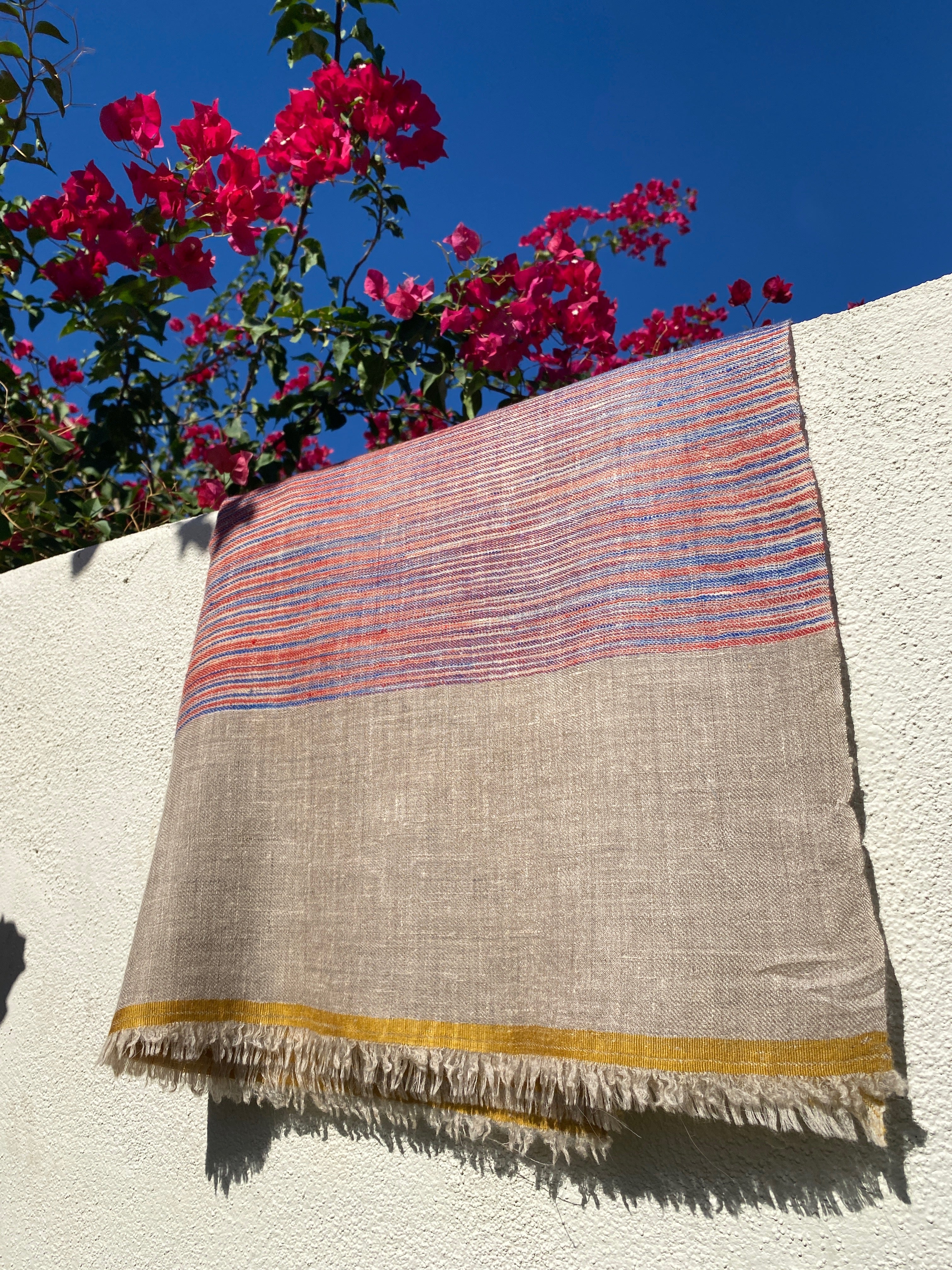 Painted Desert Ikat Pashmina Kashmiri Shawl
