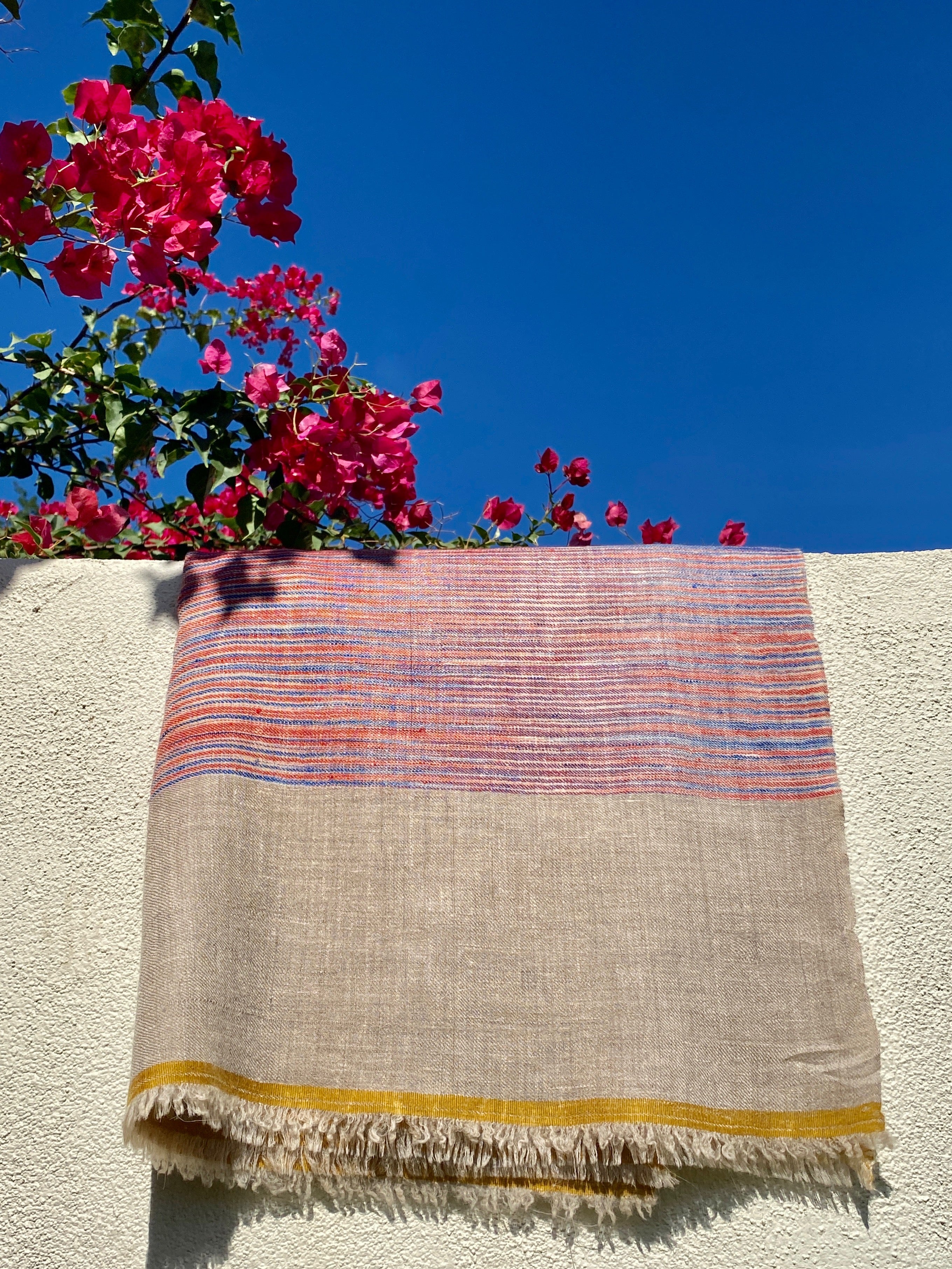Painted Desert Ikat Pashmina Kashmiri Shawl