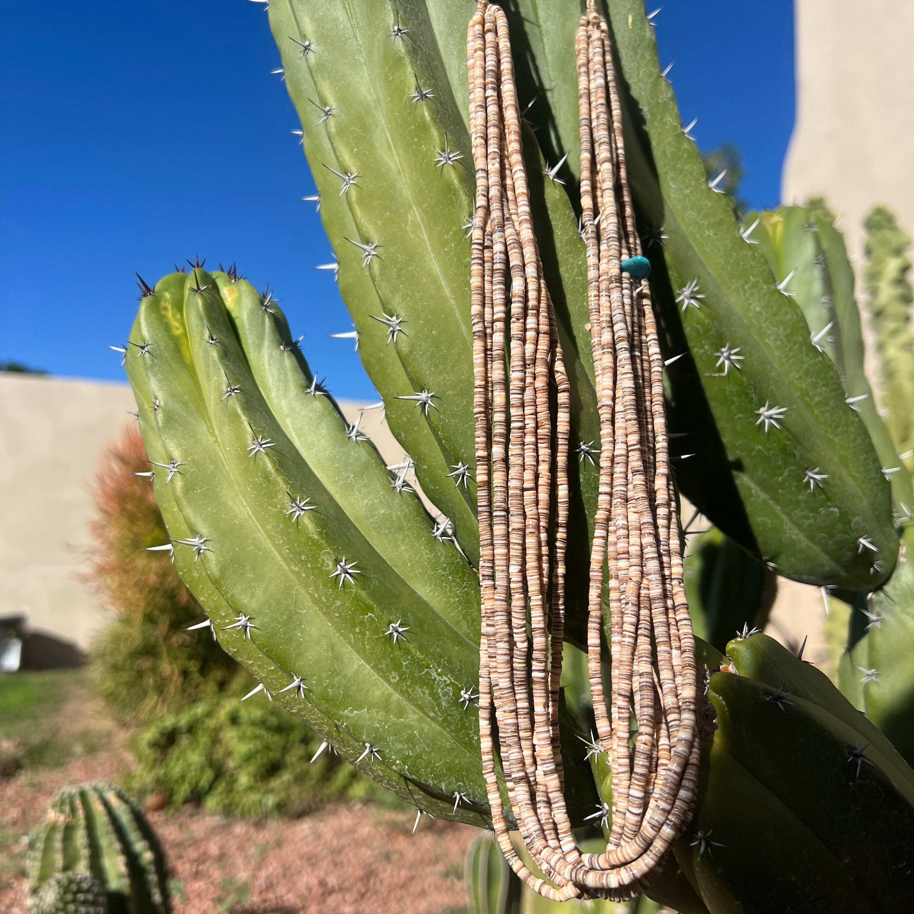 Olive Shell Heishi Necklace Ten Strand Santo Domingo