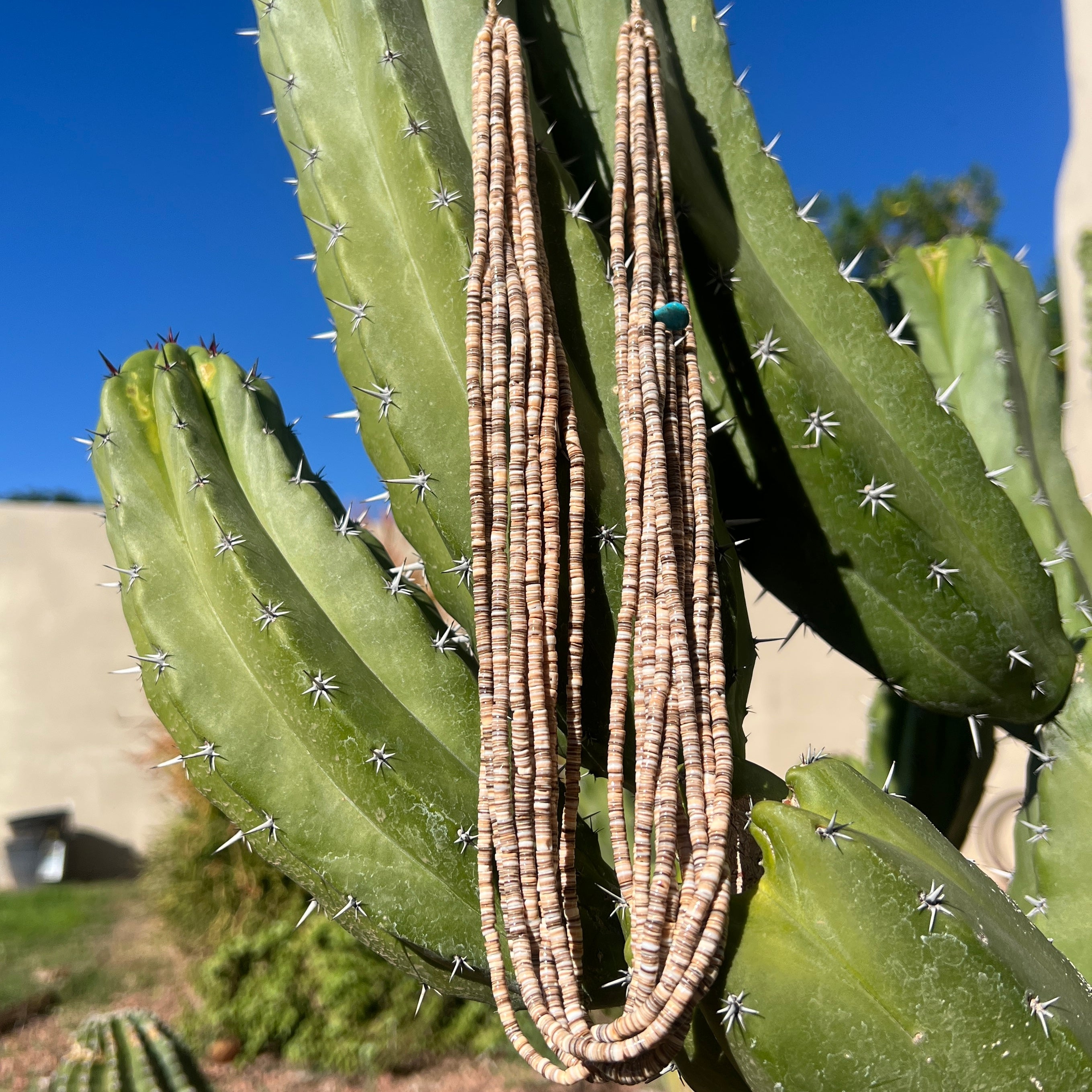 Olive Shell Heishi Necklace Ten Strand Santo Domingo