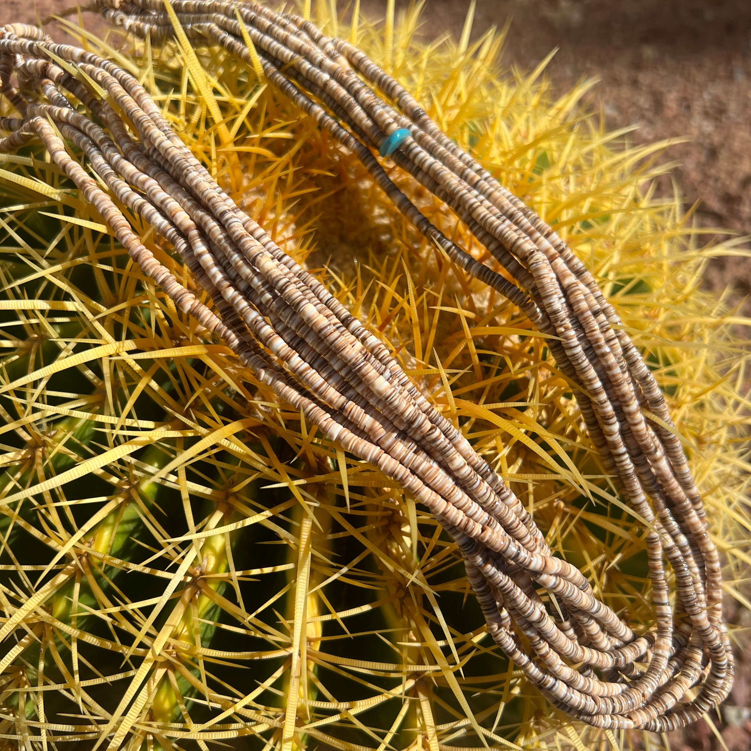 Olive Shell Heishi Necklace Ten Strand Santo Domingo