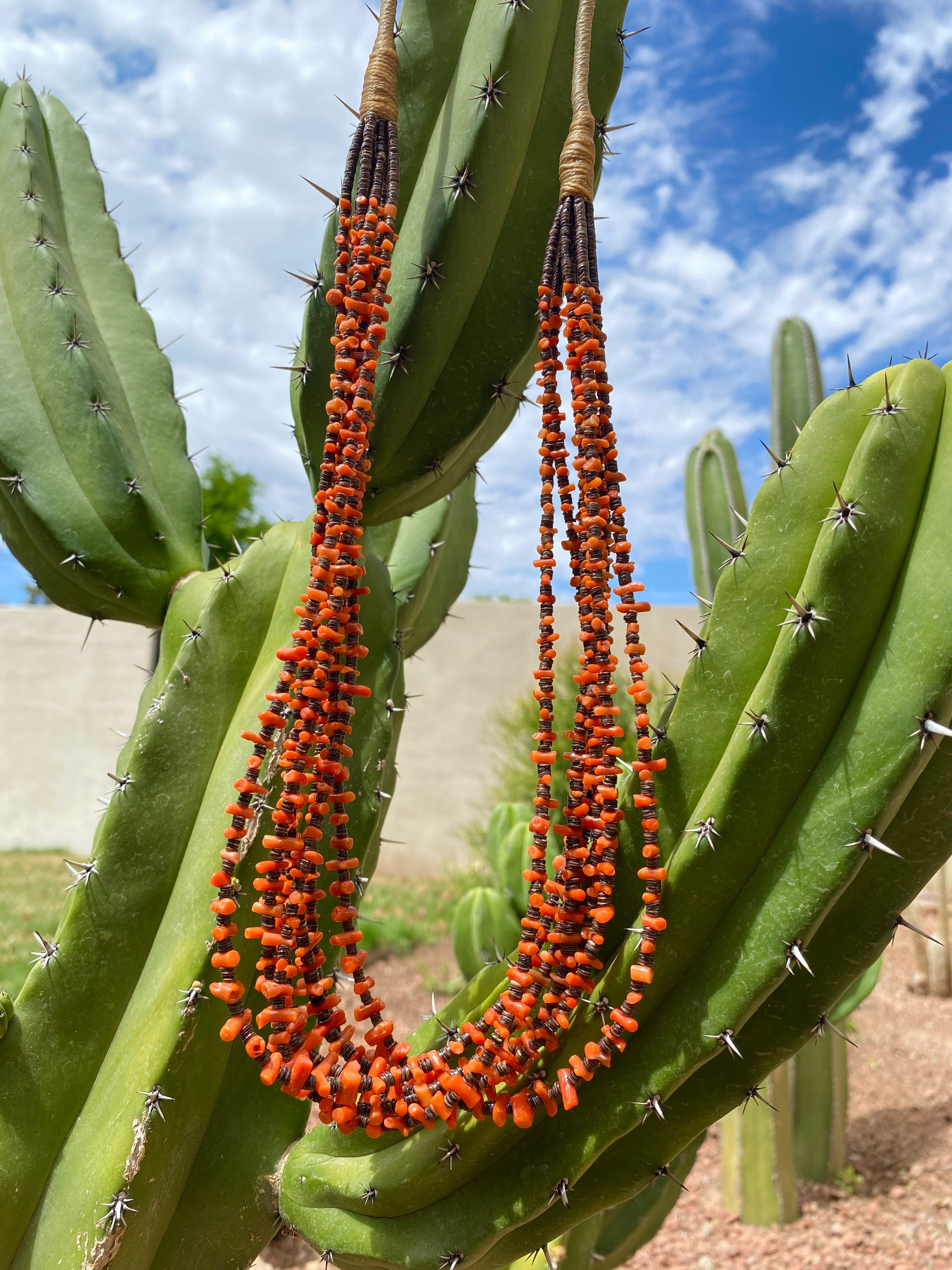 Apple Coral and Heishi Shell Necklace Santo Domingo