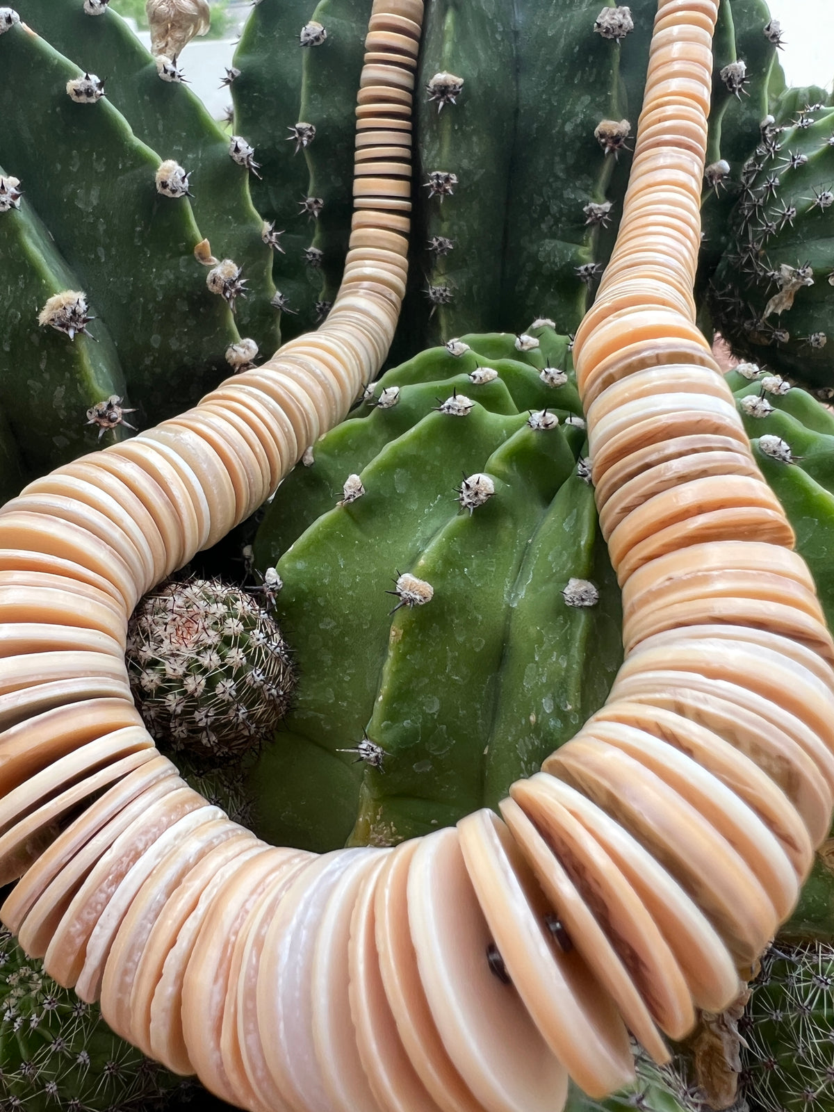 Natural Melon and Heishi Shell Graduated Disc Necklace Santo Domingo