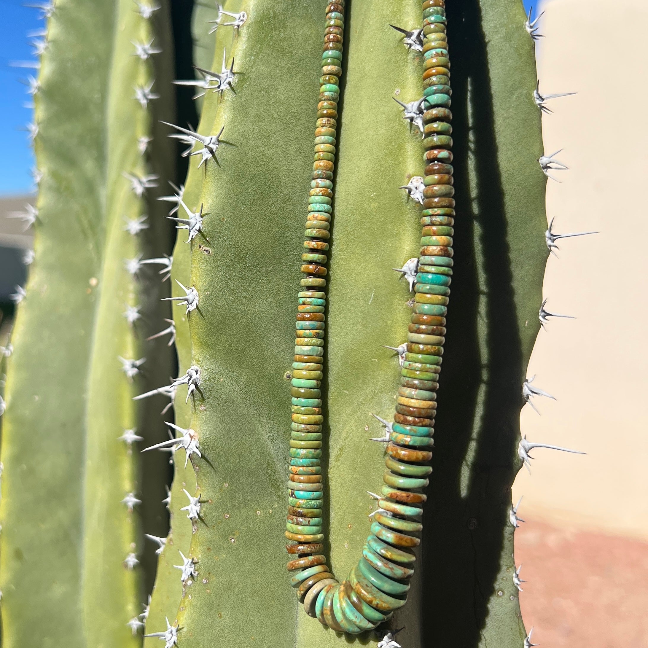 Rare Fox Green Turquoise Graduated Heishi Style Necklace Santo Domingo