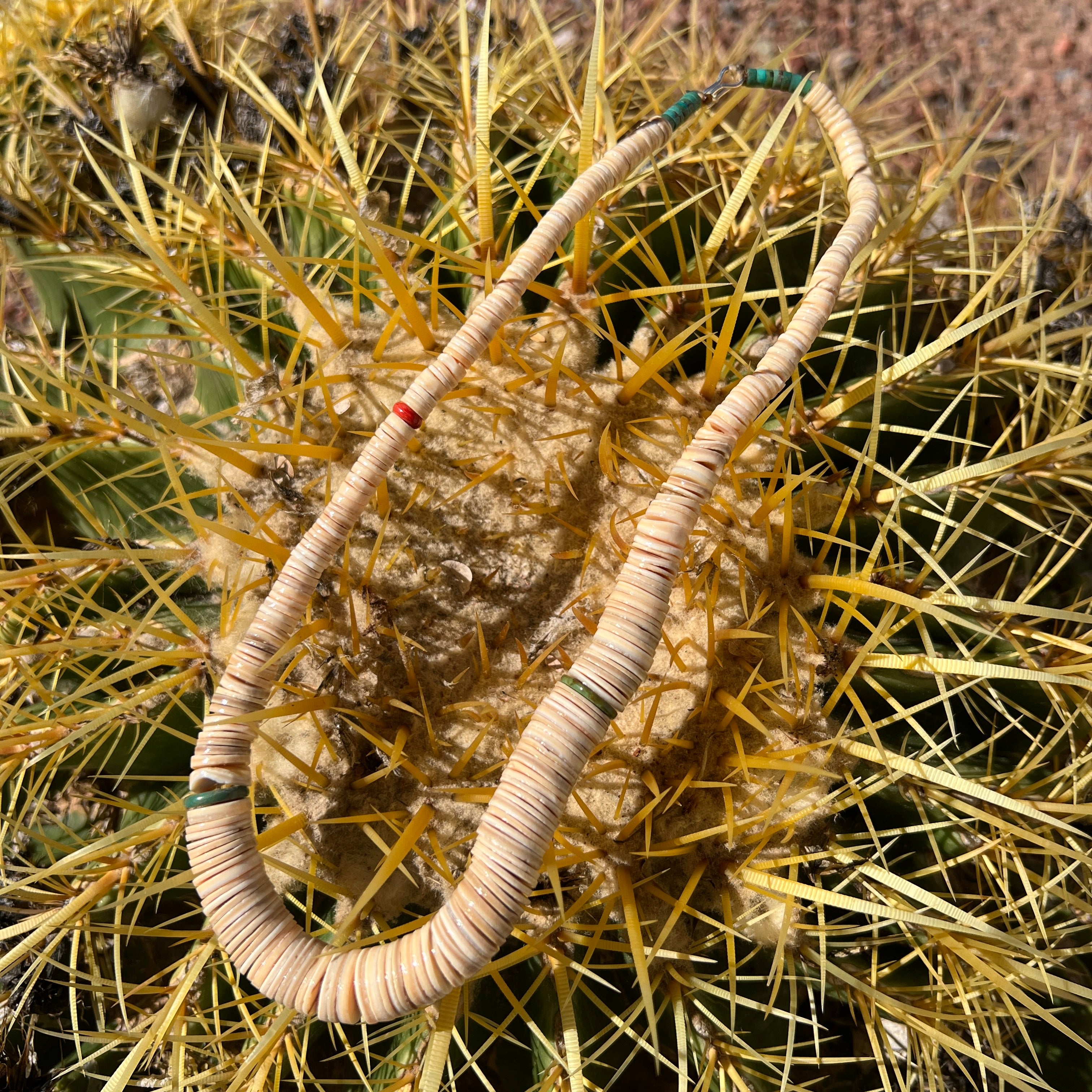 Unique Melon Shell and Turquoise Heishi Necklace Santo Domingo