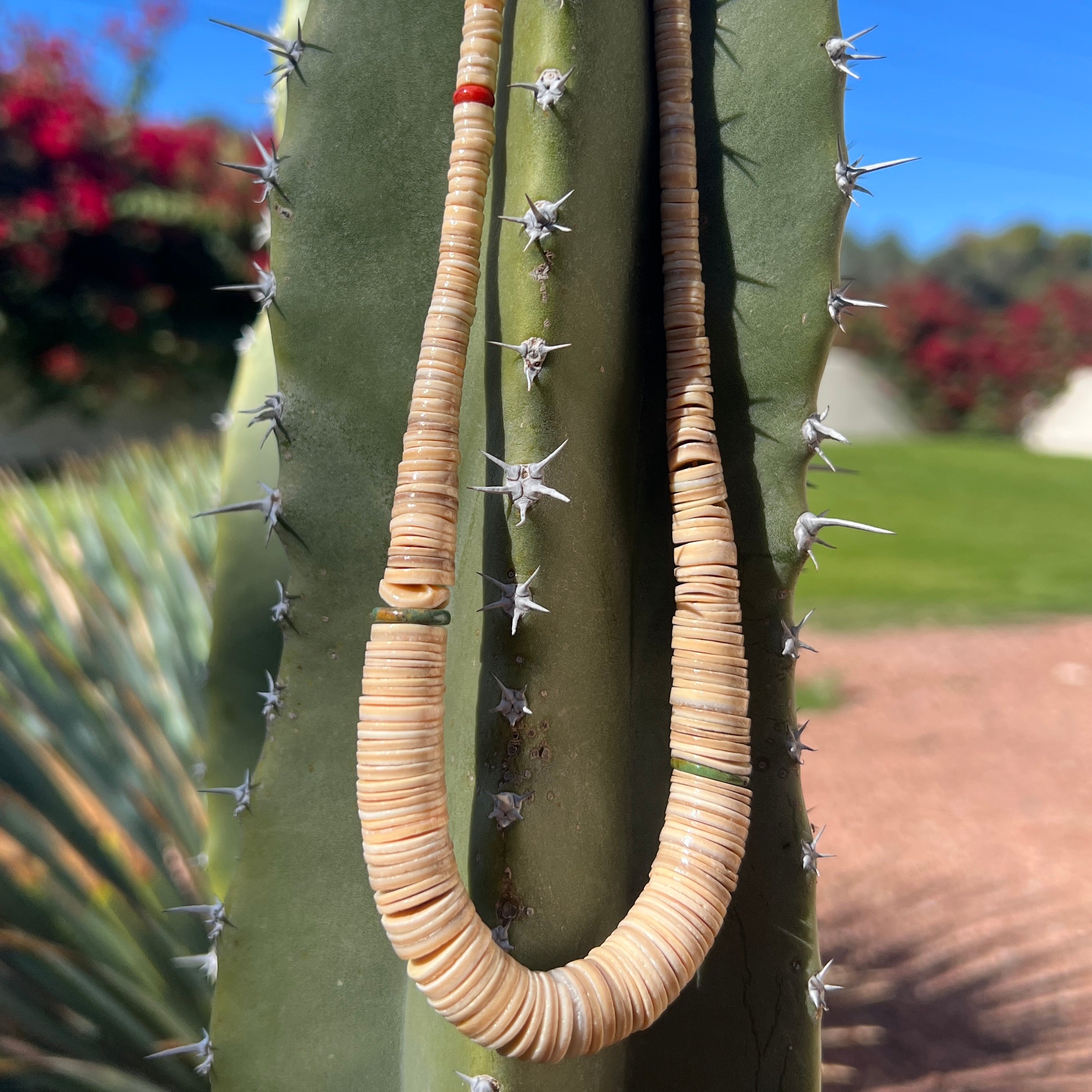 Unique Melon Shell and Turquoise Heishi Necklace Santo Domingo