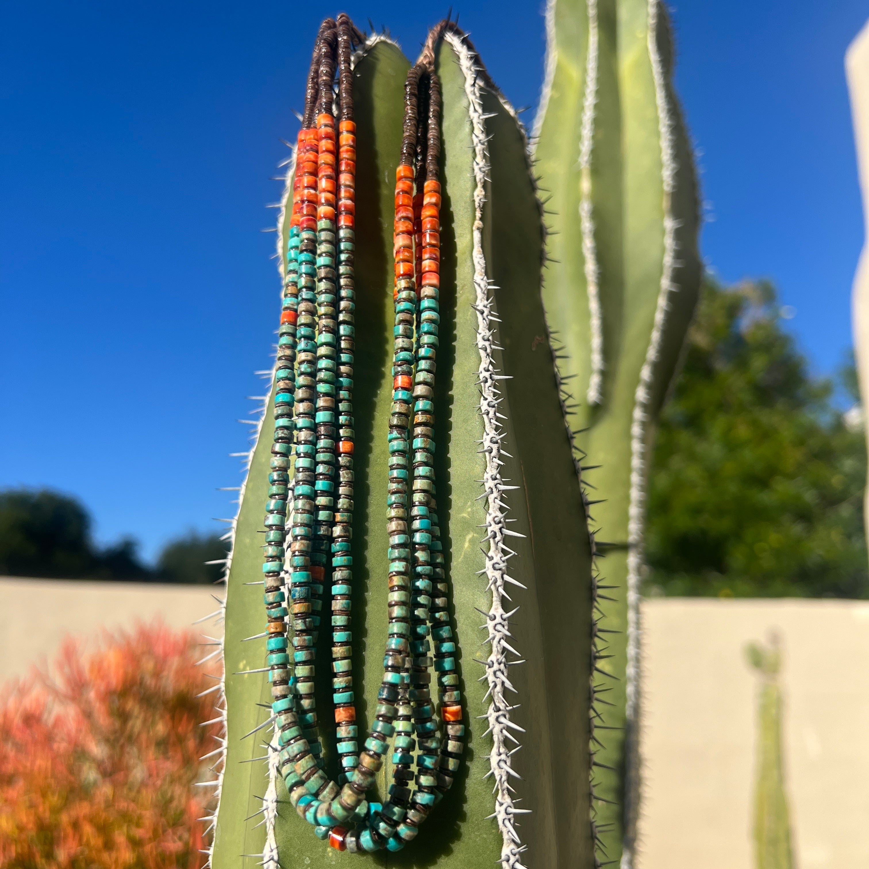 Nevada Green Turquoise with Orange Spiny Oyster, Baby Olive and Heishi Shell Necklace Santo Domingo
