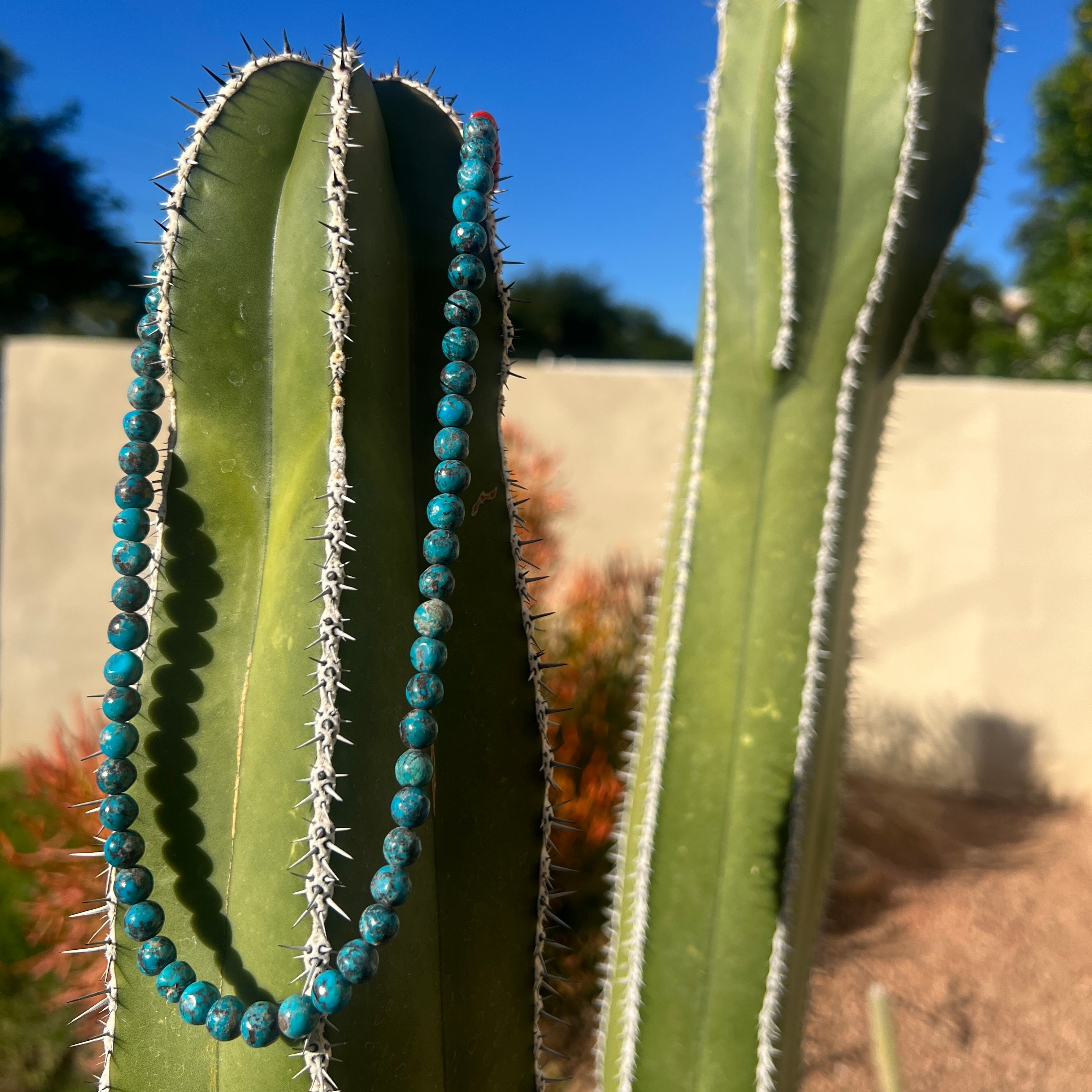Turquoise with Red Spiny Oyster Shell Necklace Santo Domingo
