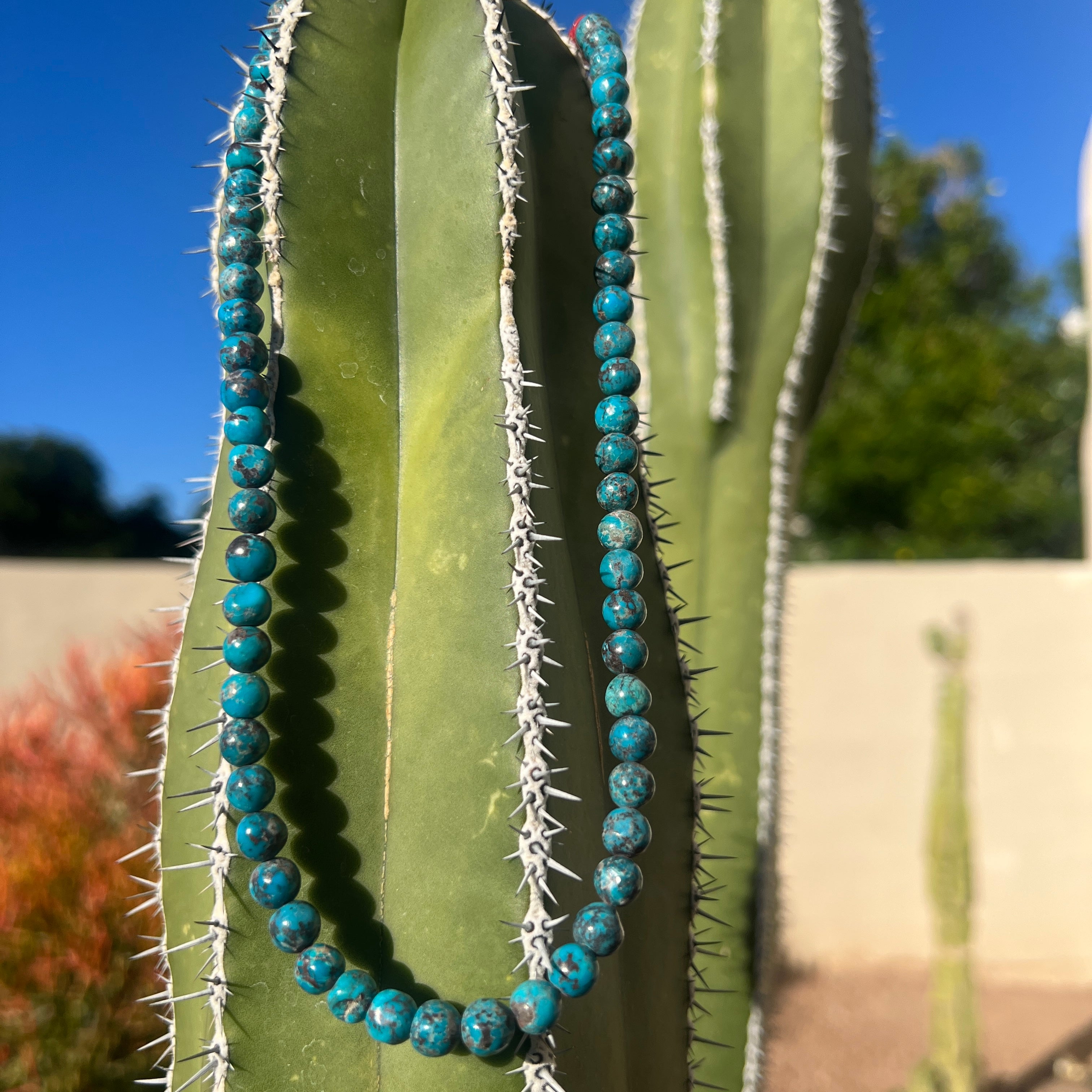 Turquoise with Red Spiny Oyster Shell Necklace Santo Domingo