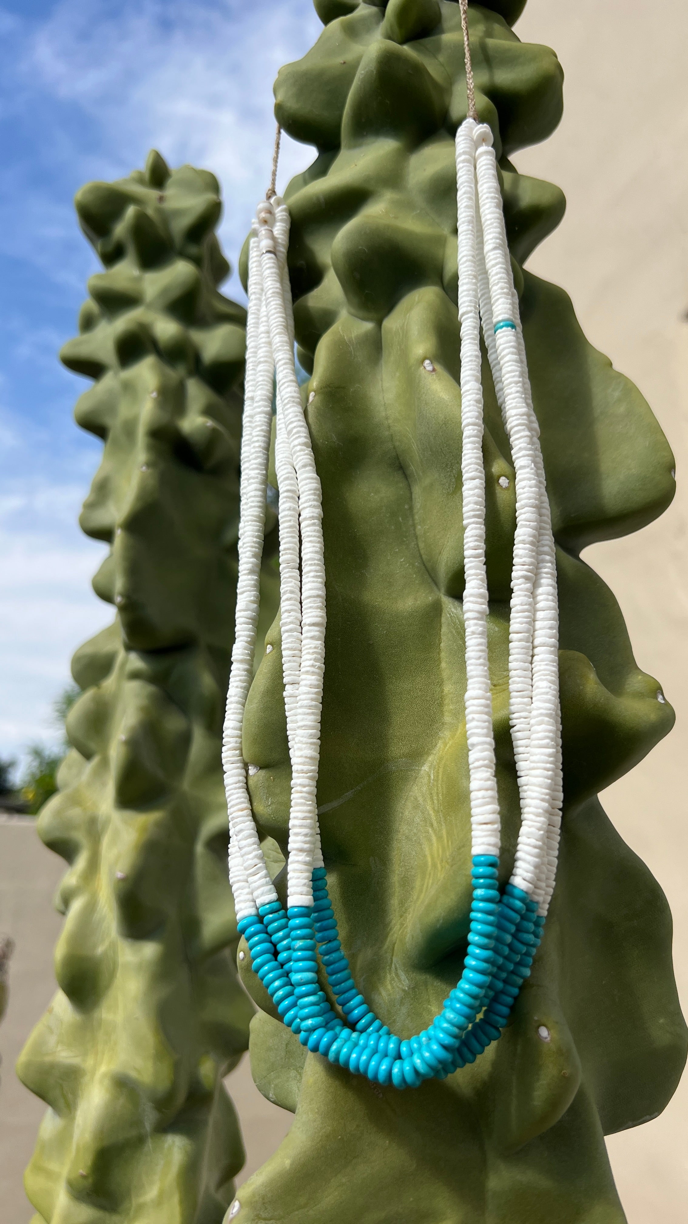 Clam Shell and Turquoise Heishi Necklace Santo Domingo