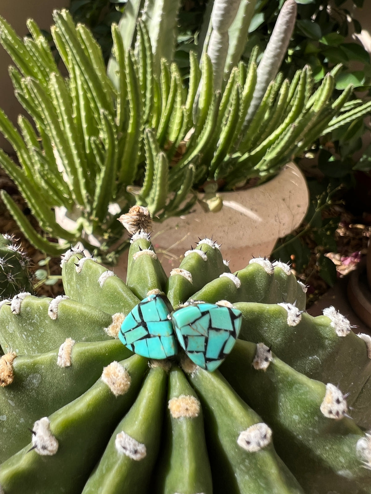 Royston Turquoise Inlay Earrings Santo Domingo