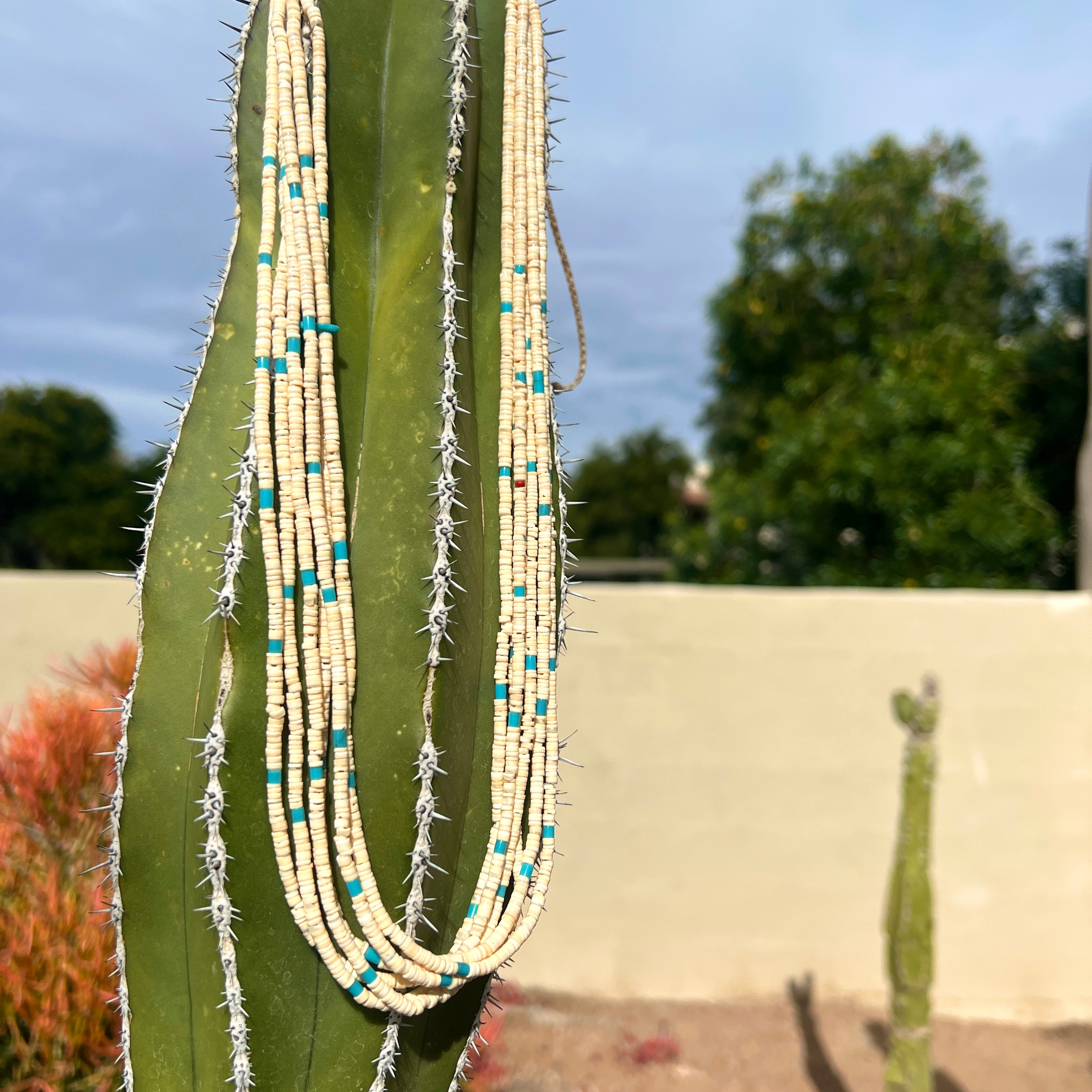 Melon Shell Turquoise Heishi Necklace Santo Domingo
