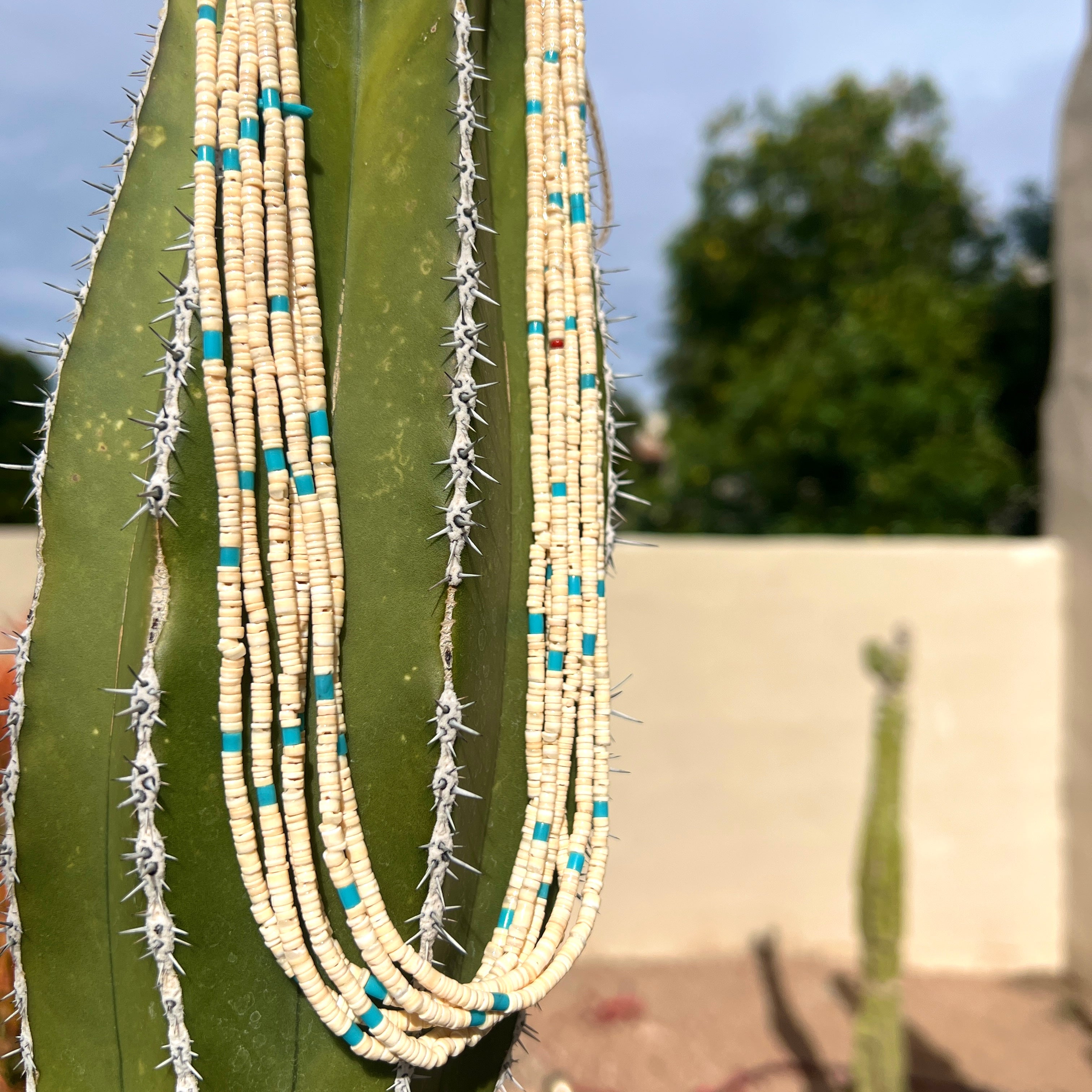 Melon Shell Turquoise Heishi Necklace Santo Domingo