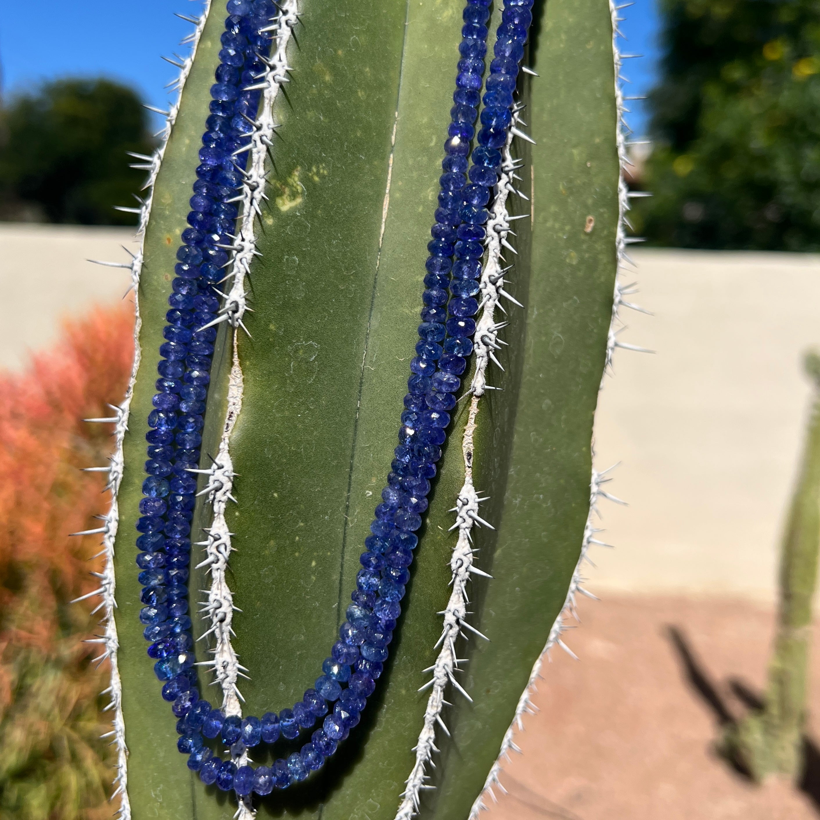 Rare Faceted Tanzanite Long Necklace