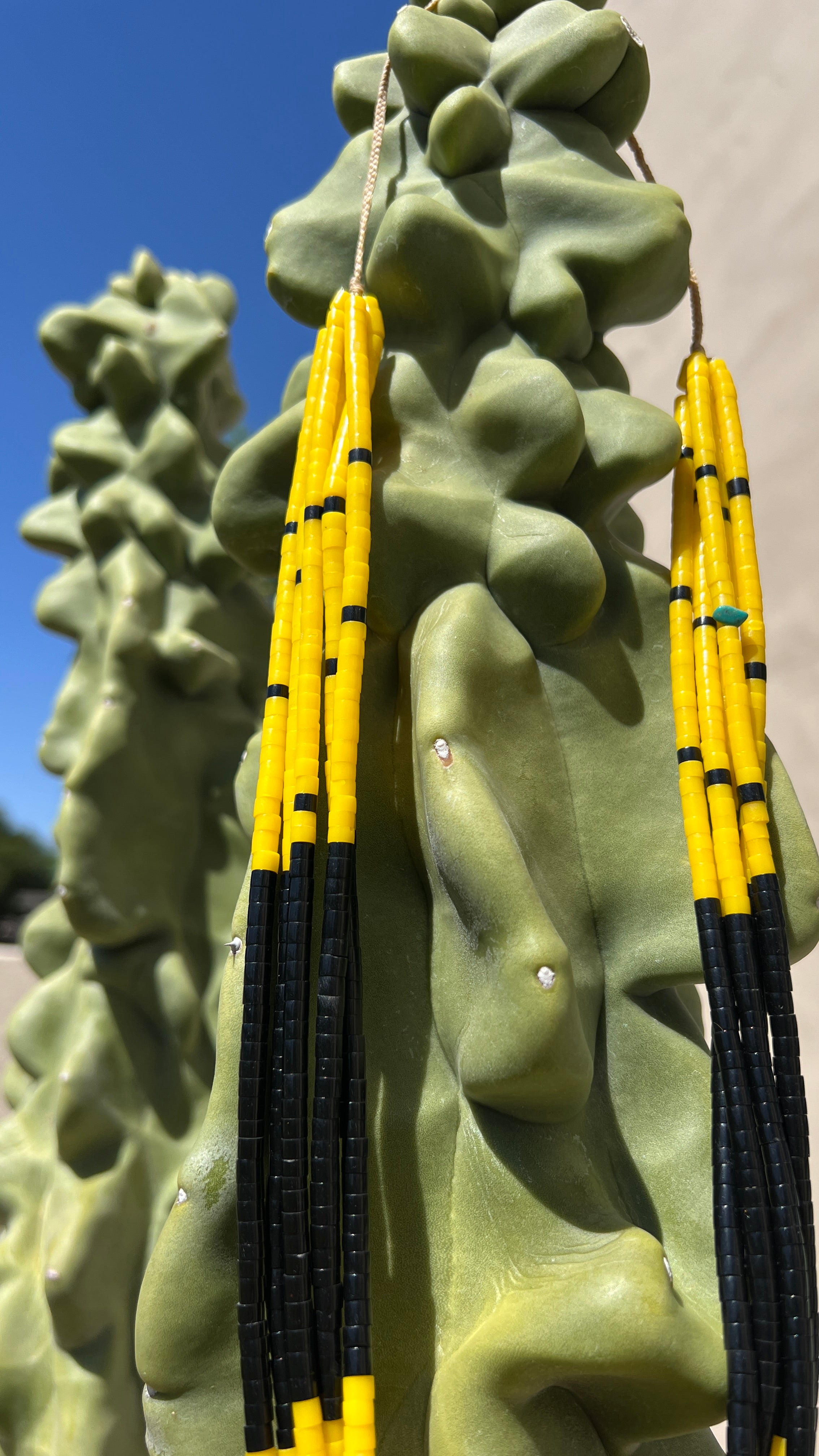 Yellow Serpentine and Black Jet Heishi Style Necklace Santo Domingo