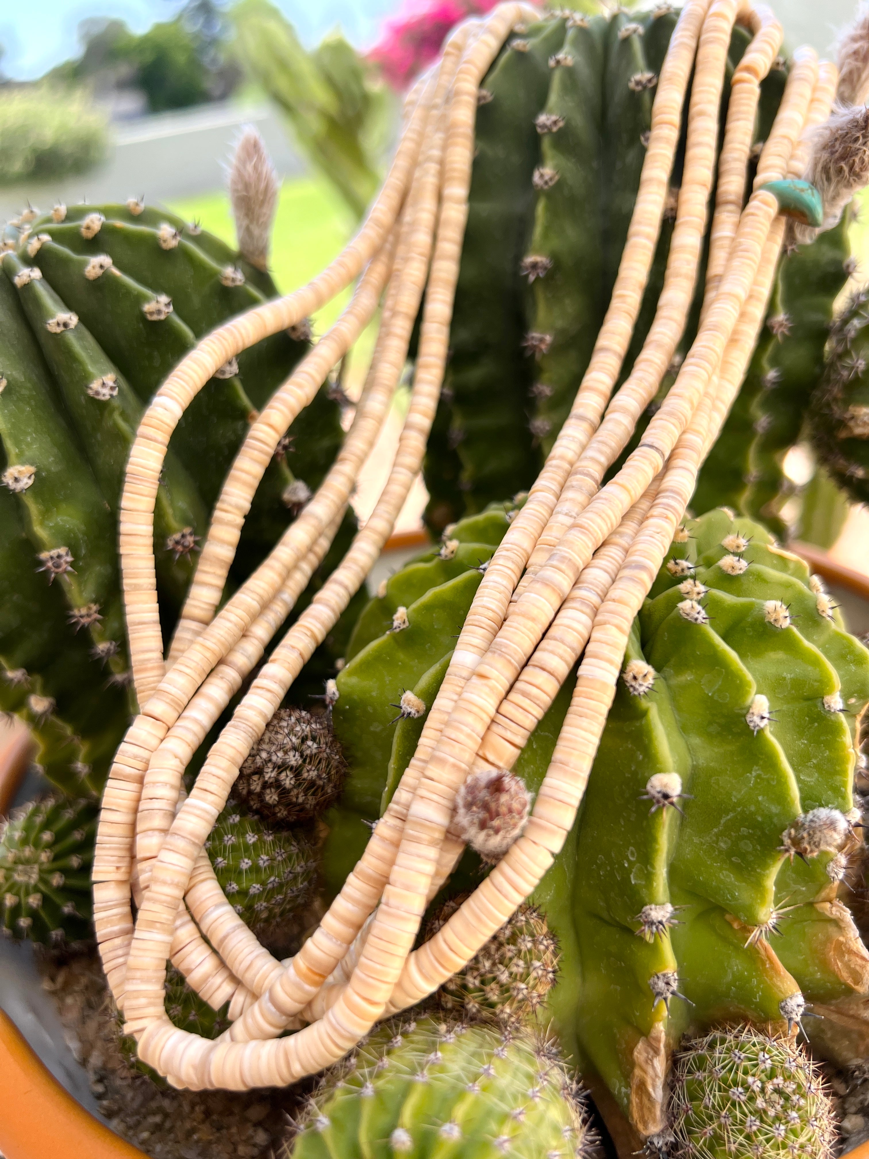Melon Shell Necklace Santo Domingo Five Strands
