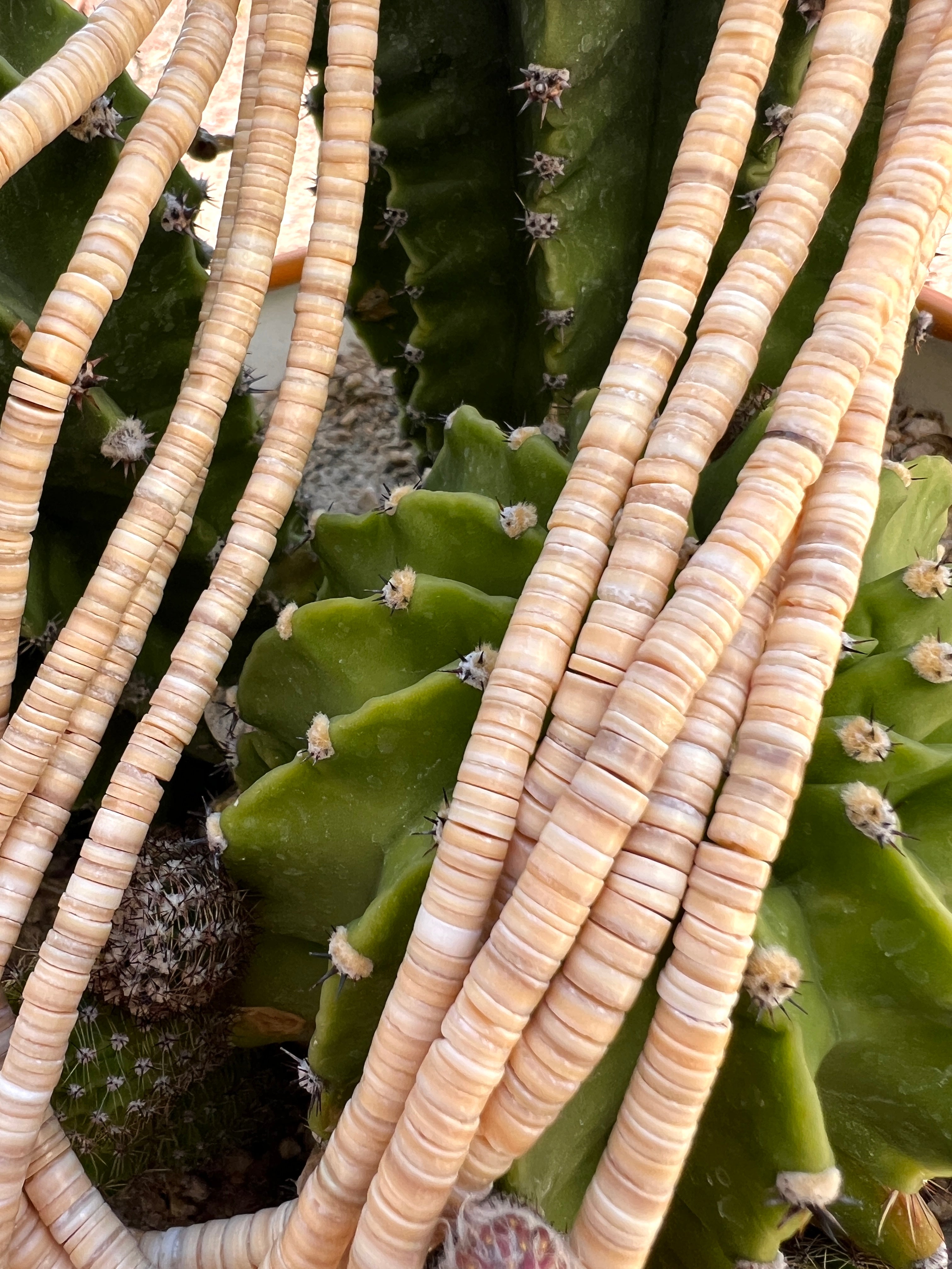 Melon Shell Necklace Santo Domingo Five Strands