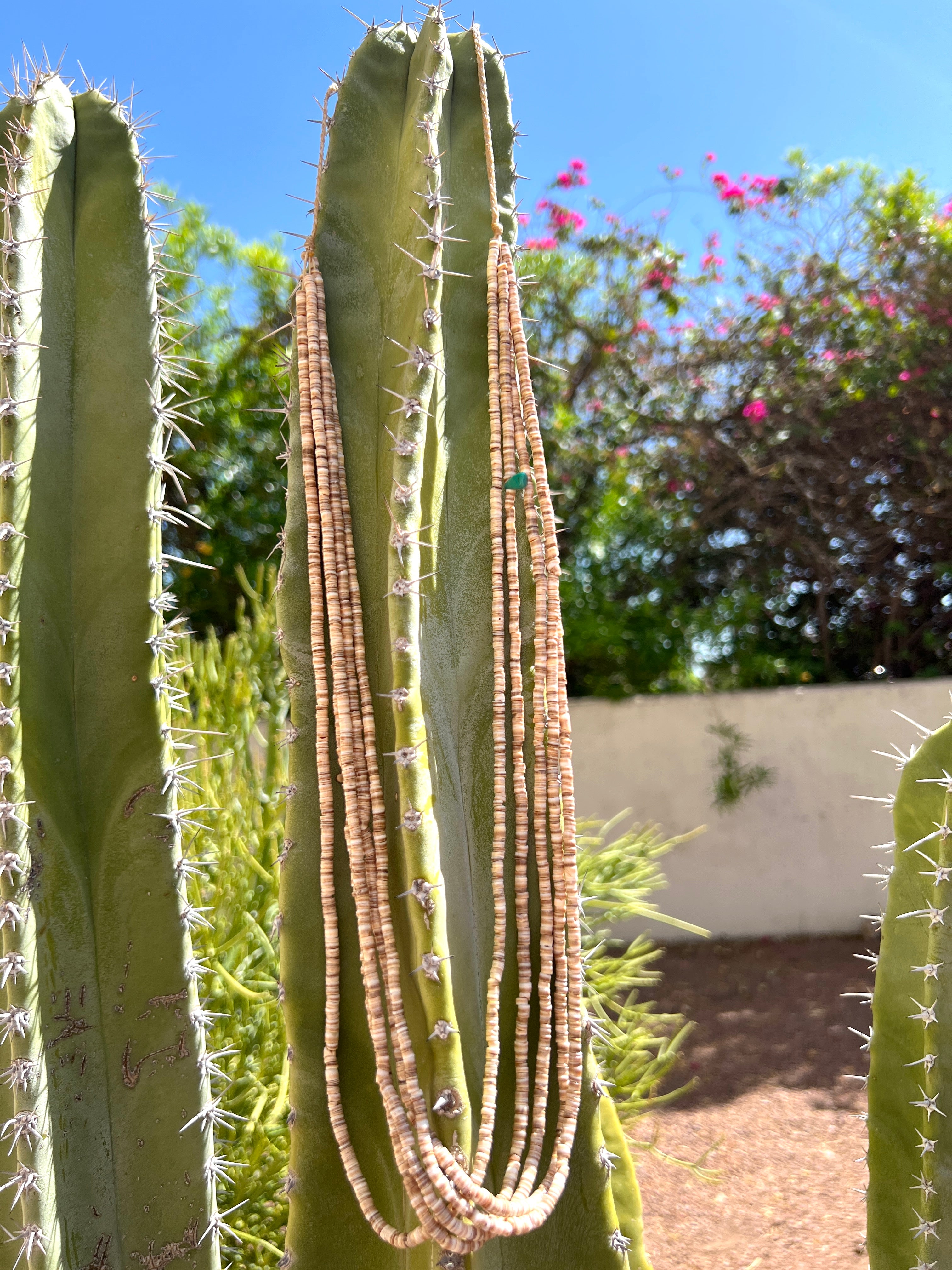 Baluko Shell Necklace Santo Domingo Five Strands