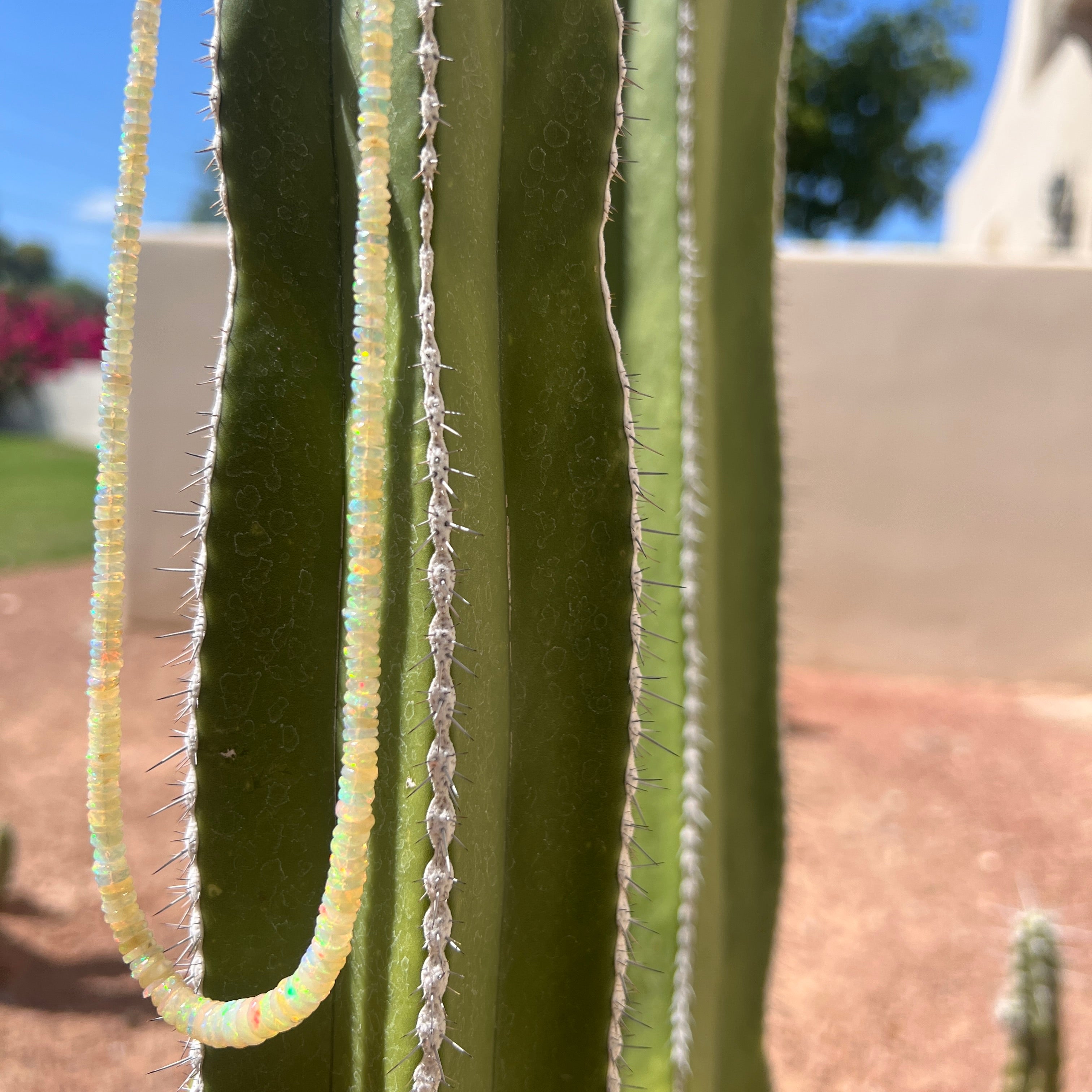 Rare Ethiopian Opal Graduated Necklace