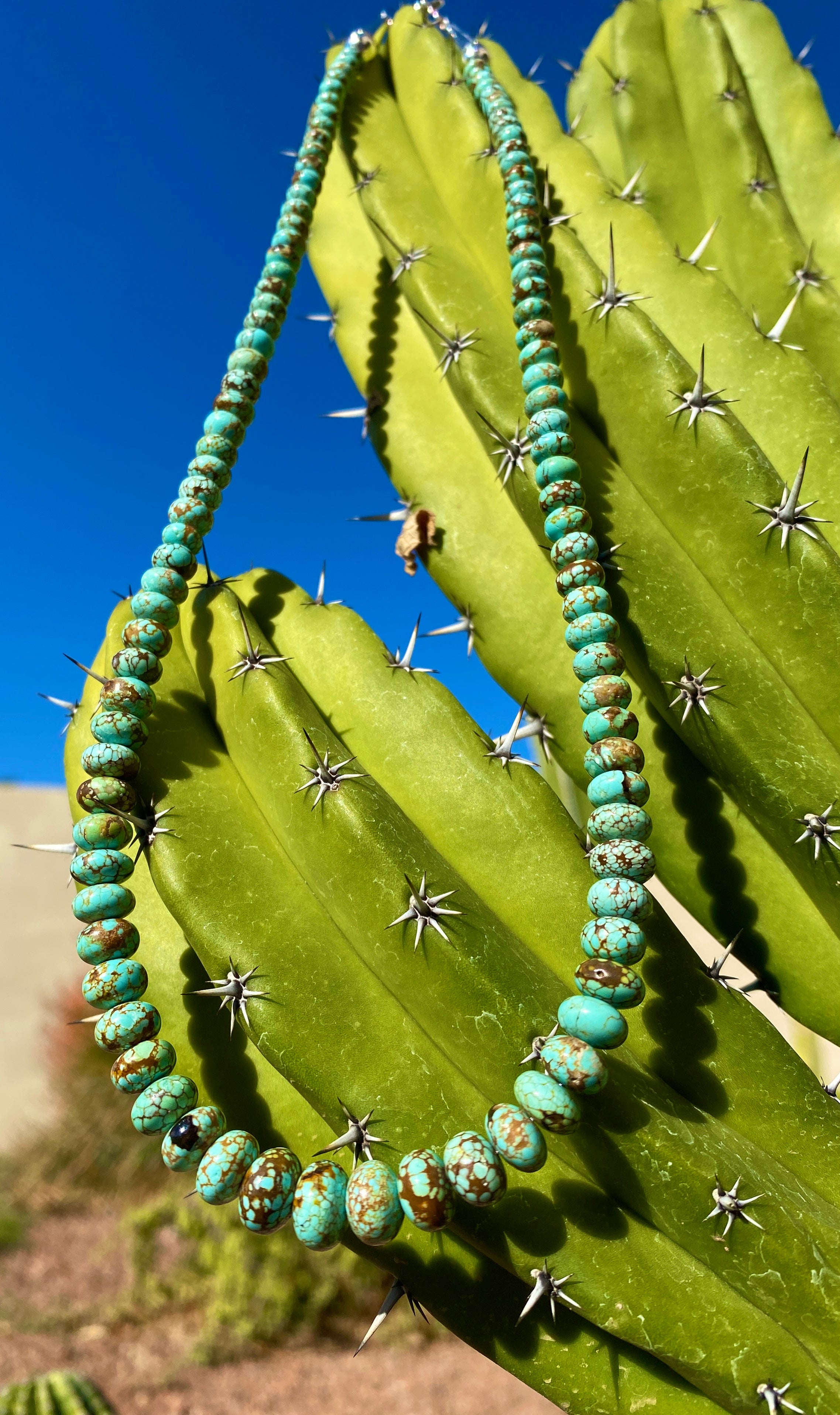 Rare Carico Lake Turquoise Graduated Necklace