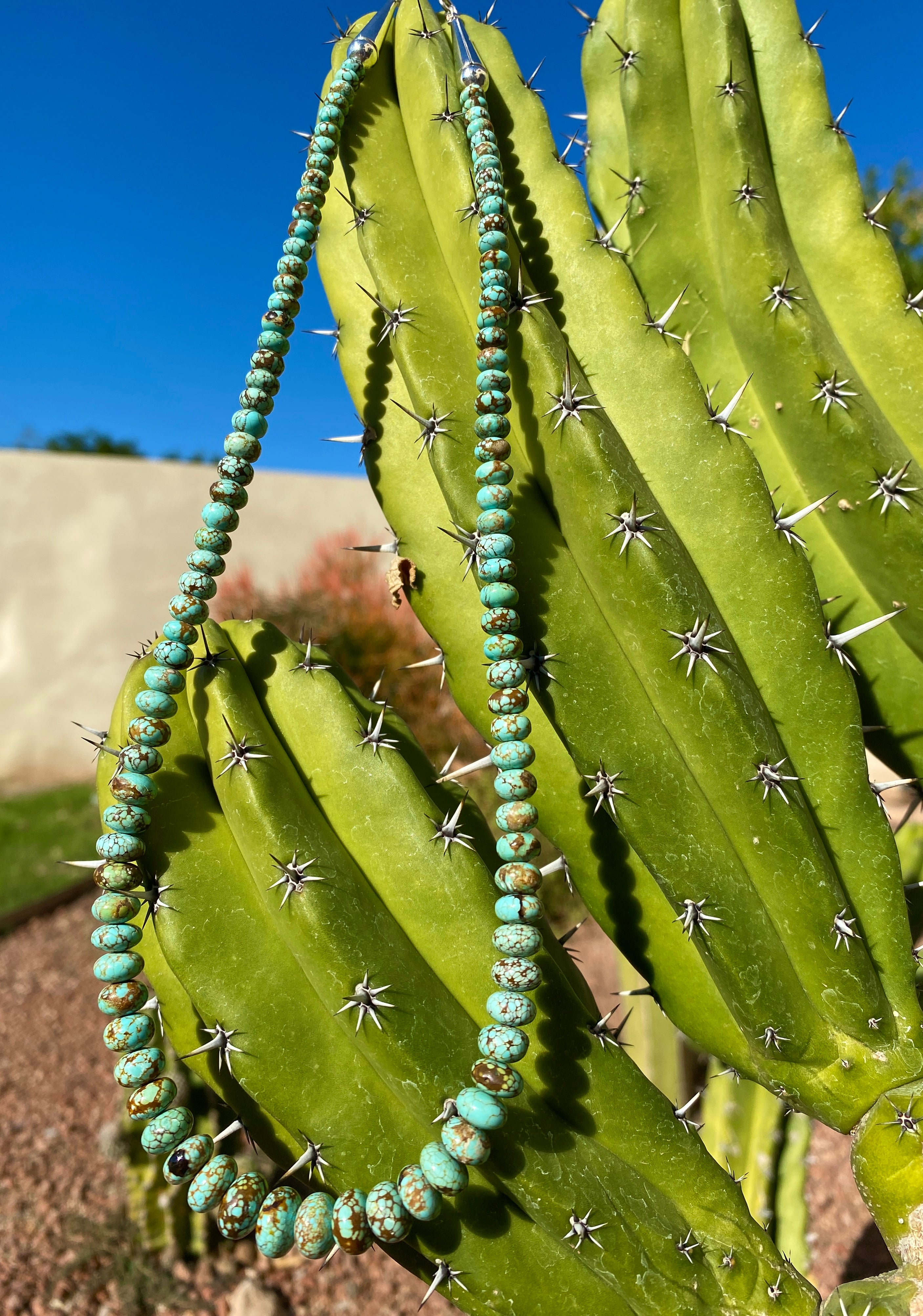 Rare Carico Lake Turquoise Graduated Necklace