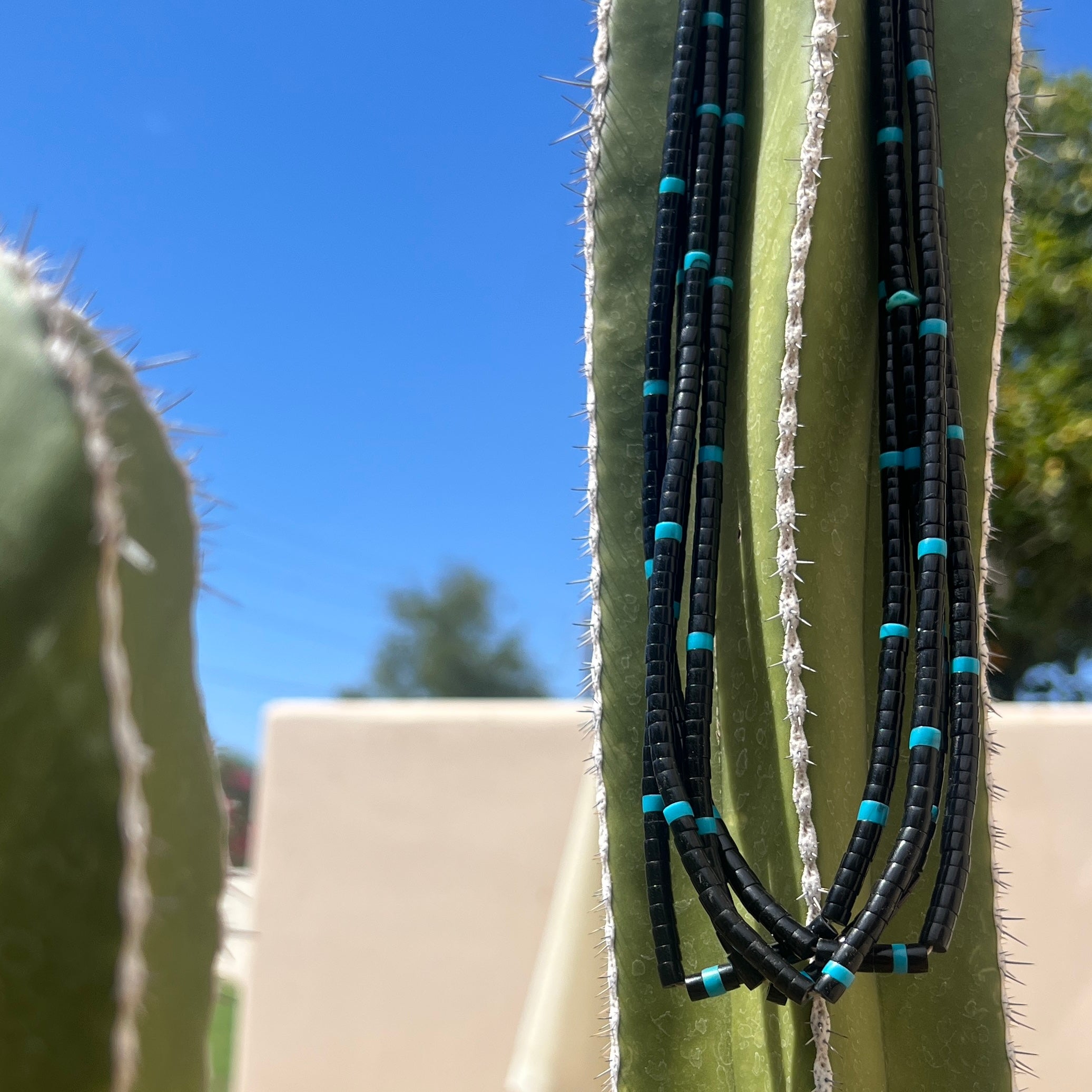 Black Jet and Turquoise Santo Domingo Necklace