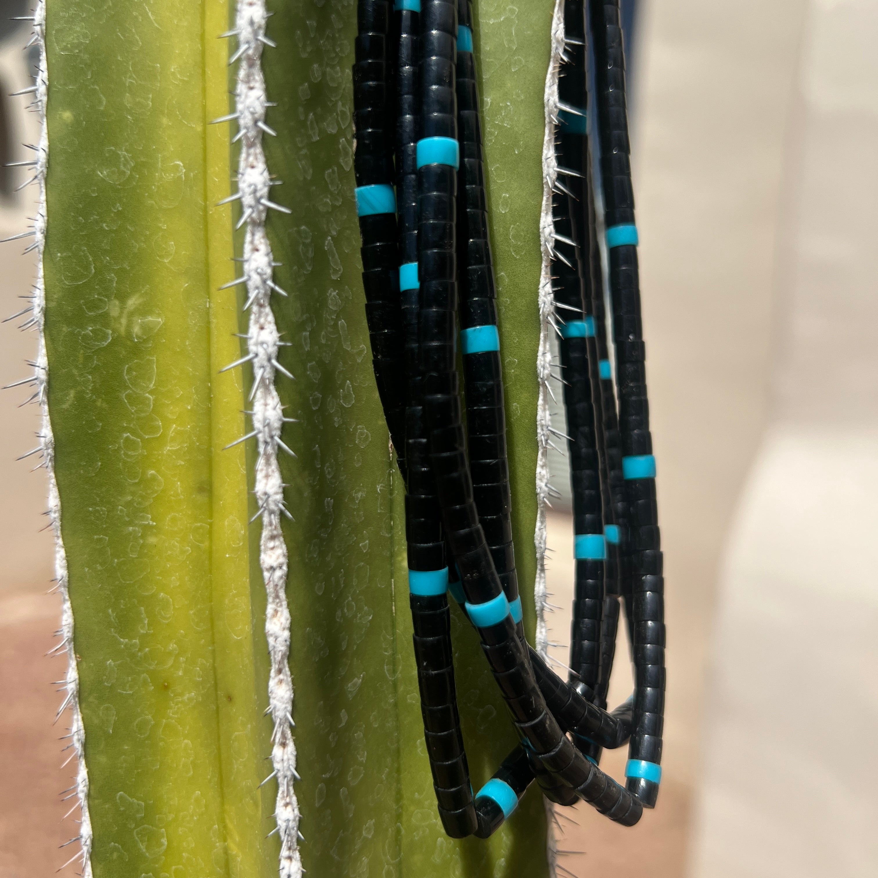 Black Jet and Turquoise Santo Domingo Necklace