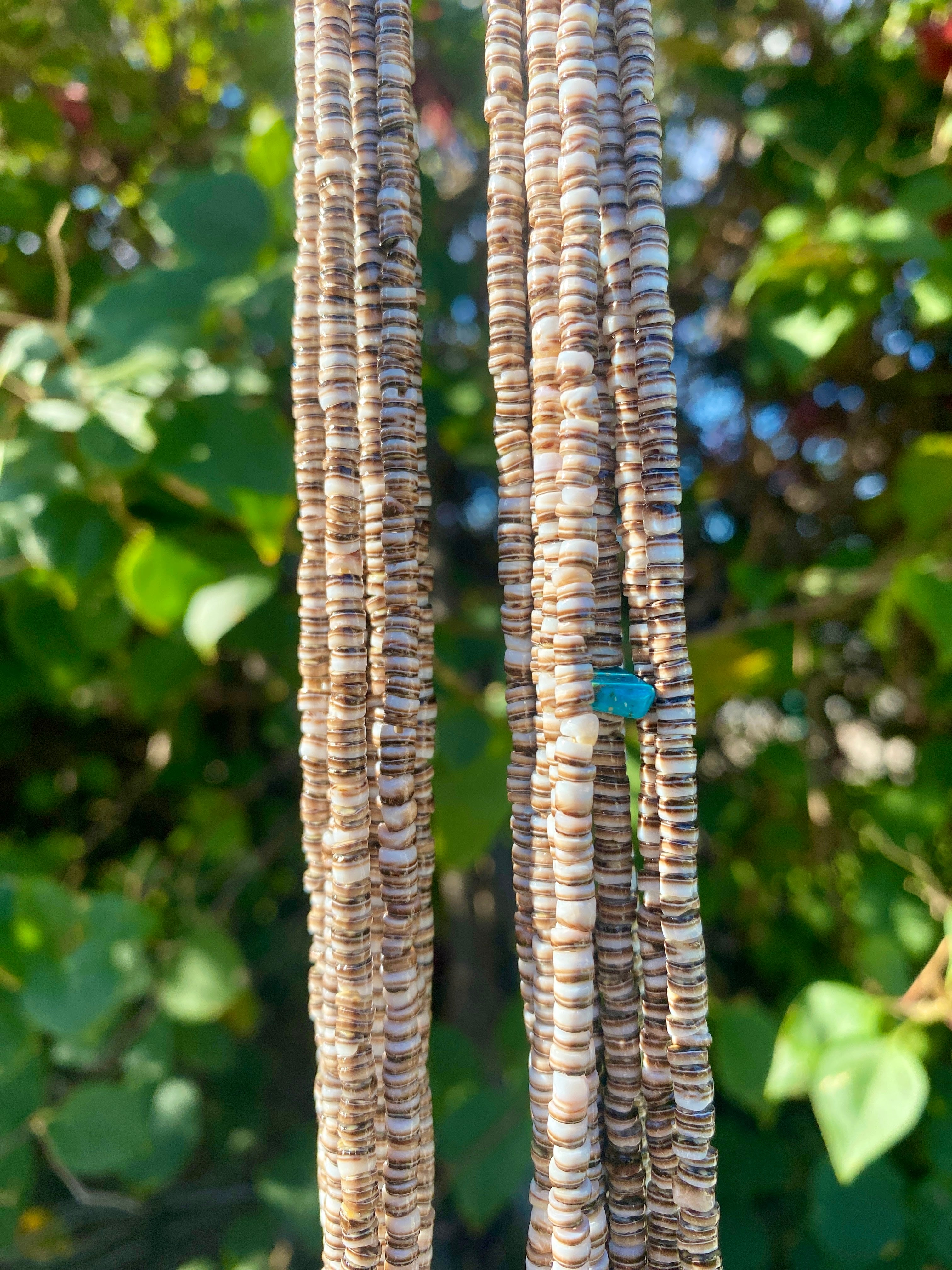 Olive Shell Heishi Necklace Ten Strand Santo Domingo