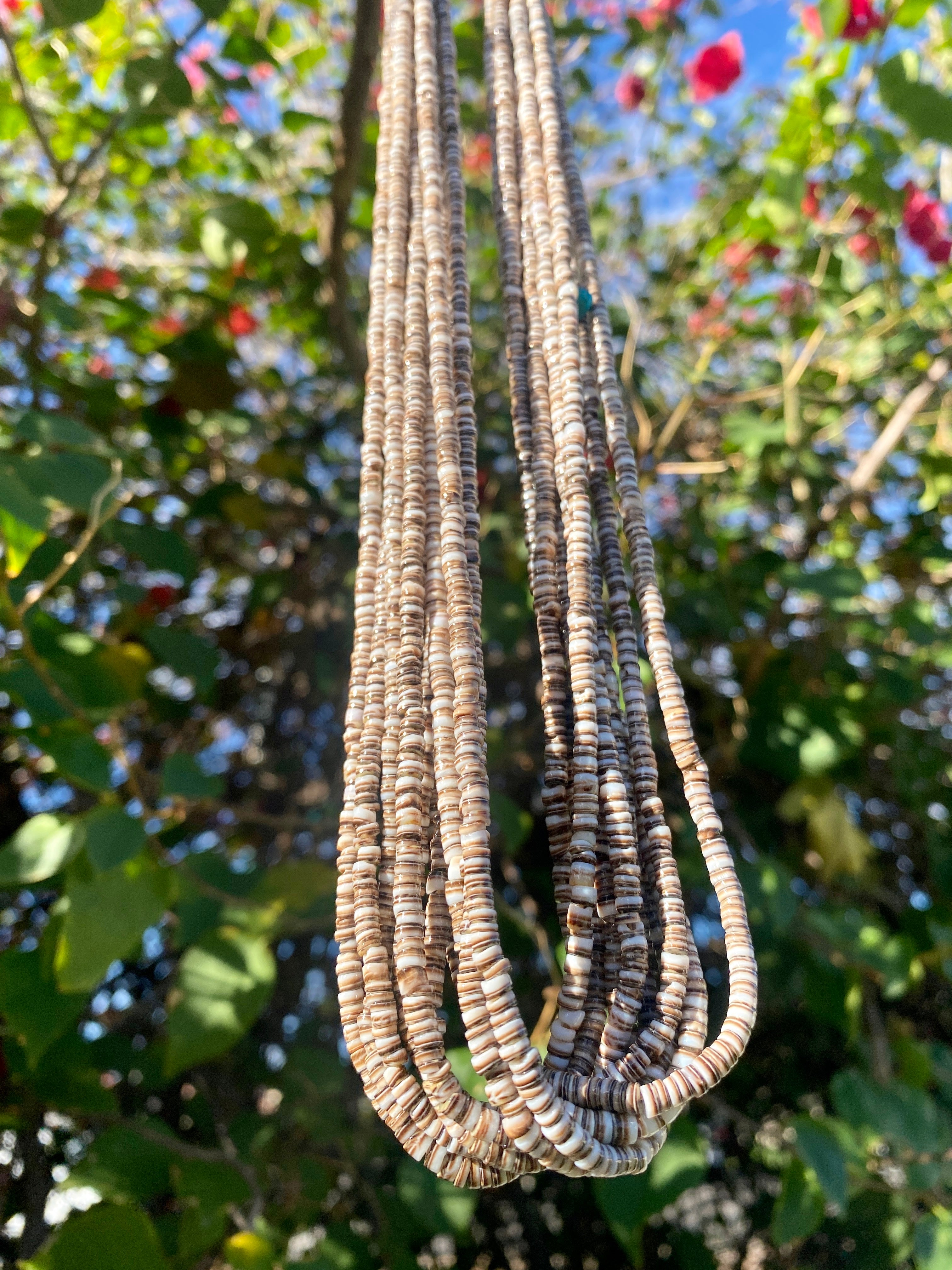 Olive Shell Heishi Necklace Ten Strand Santo Domingo