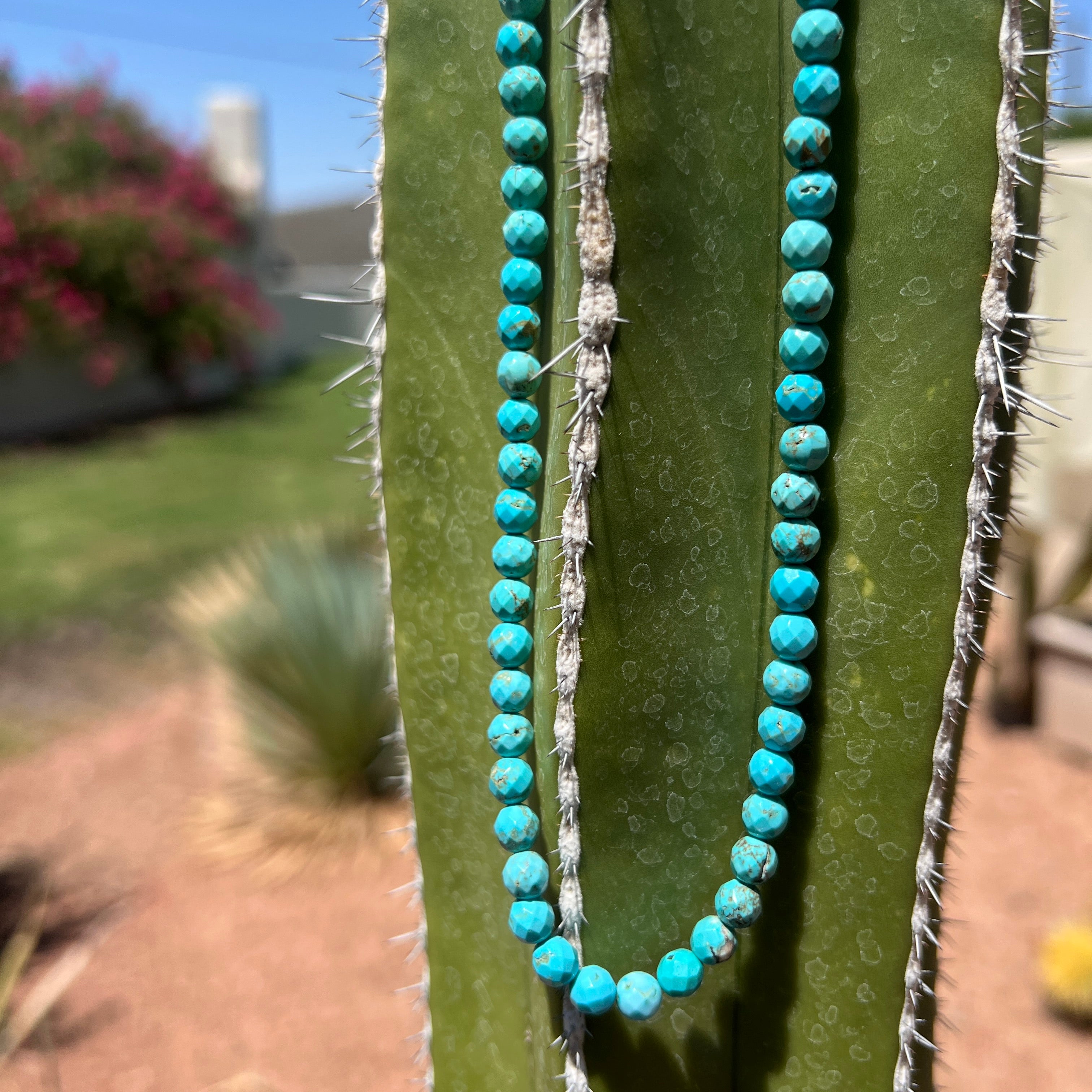 Rare Diamond Cut Sleeping Beauty Turquoise Necklace Santo Domingo