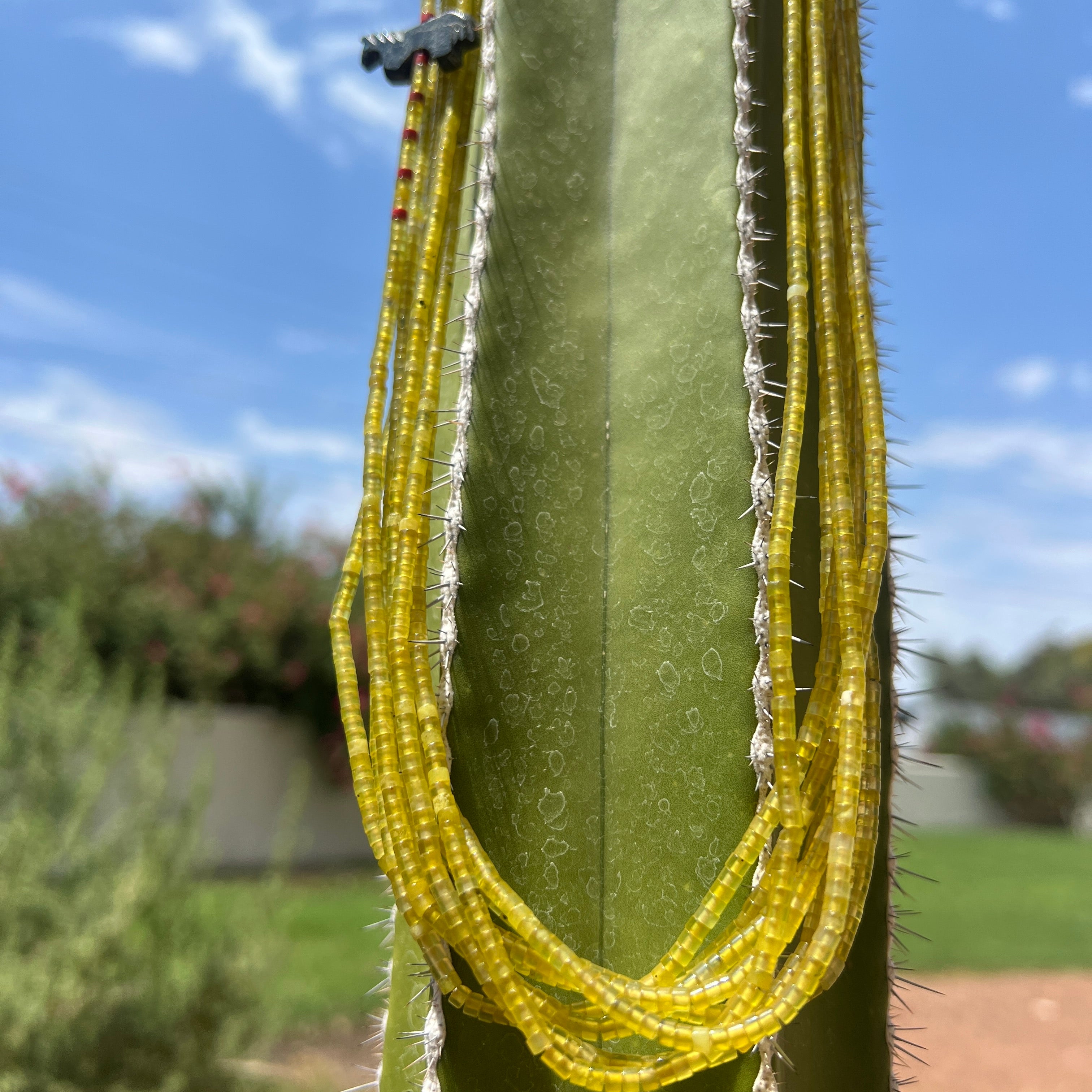 Yellow Serpentine and Coral Necklace Santo Domingo