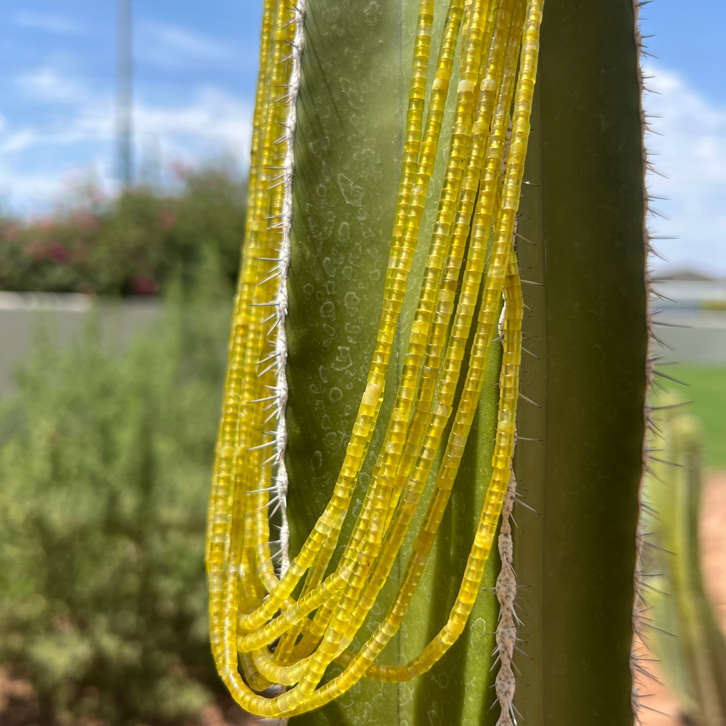 Yellow Serpentine and Coral Necklace Santo Domingo