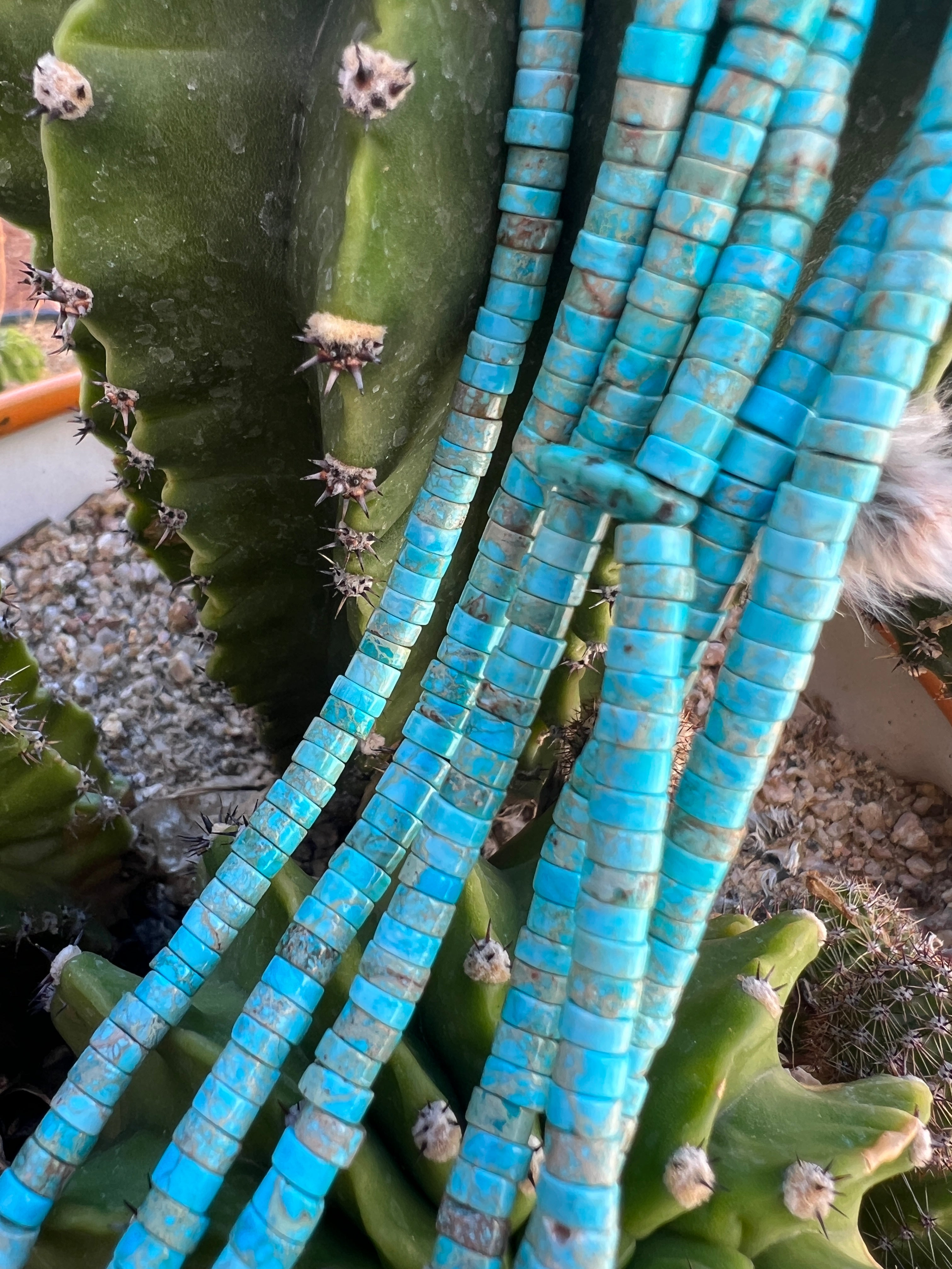 Turquoise and Heishi Three Strand Santo Domingo Necklace