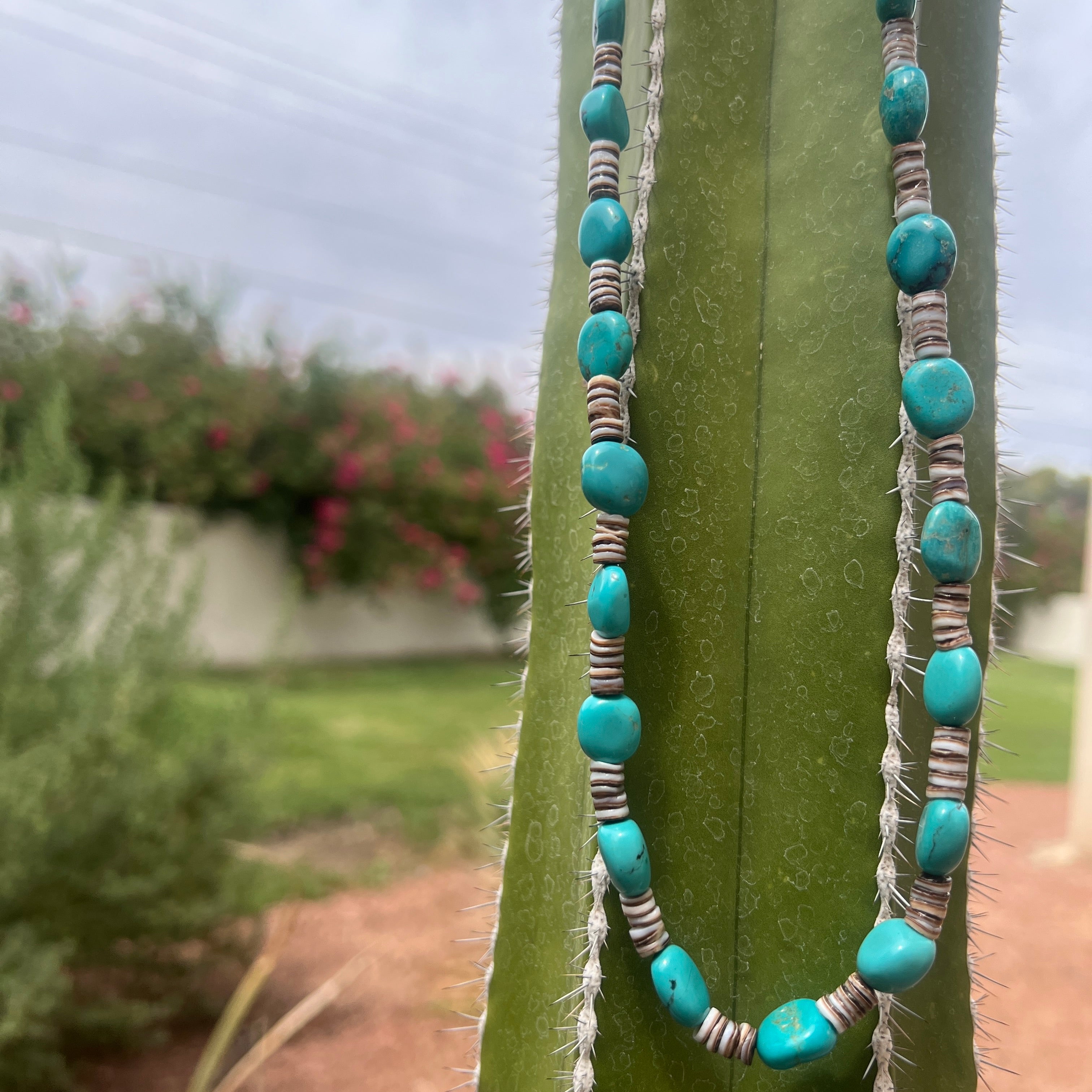 Rare Sleeping Beauty Turquoise and Heishi Santo Domingo Necklace