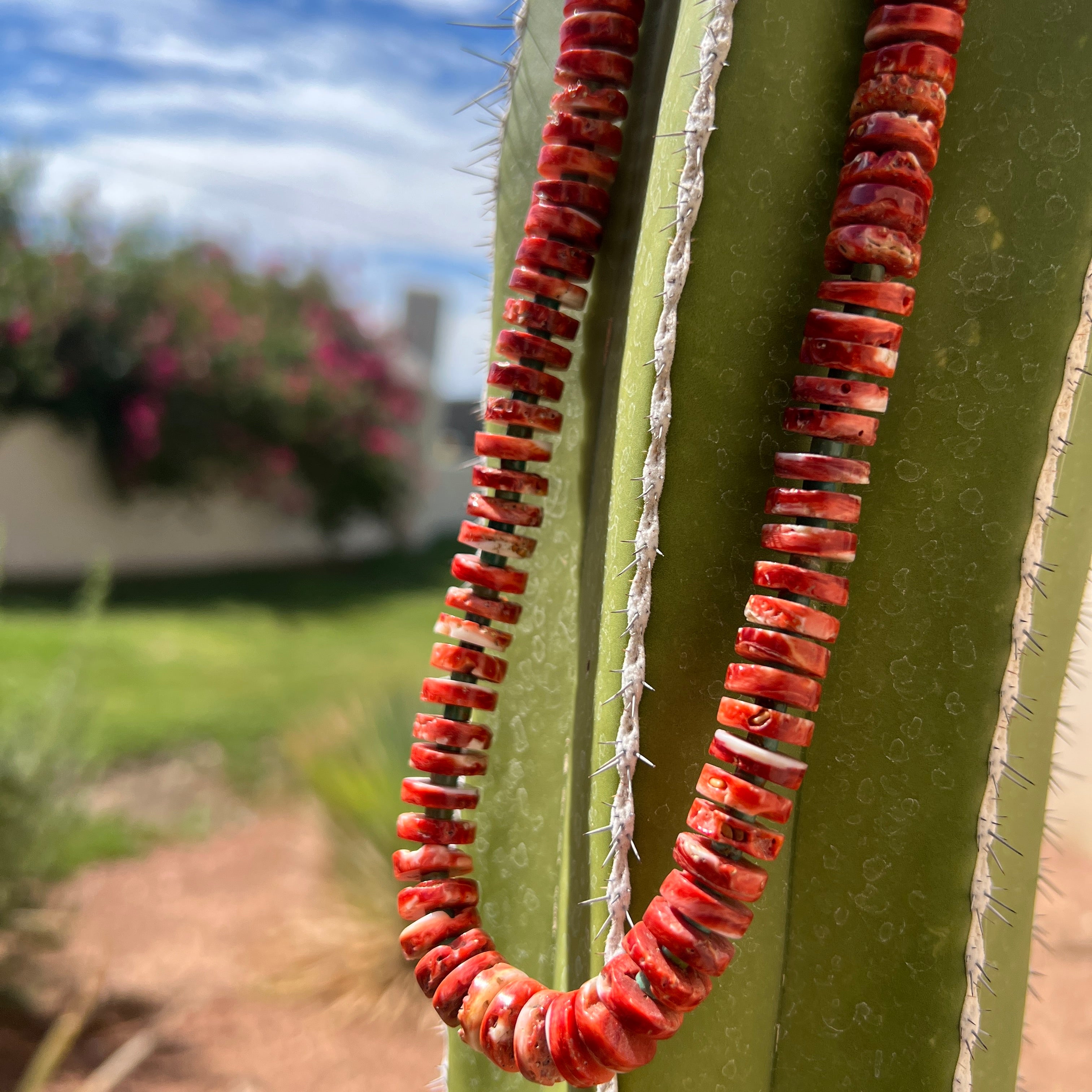 Rare Red Spiny Oyster and Kingman Turquoise Necklace Santo Domingo