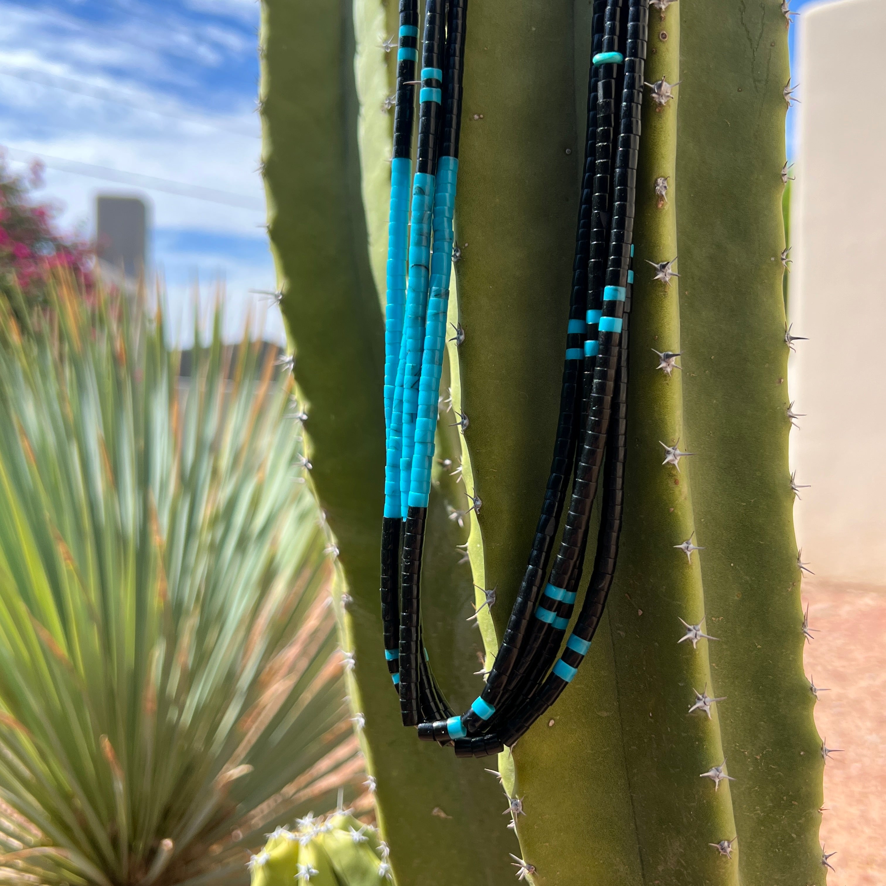 Black Jet and Turquoise Santo Domingo Necklace