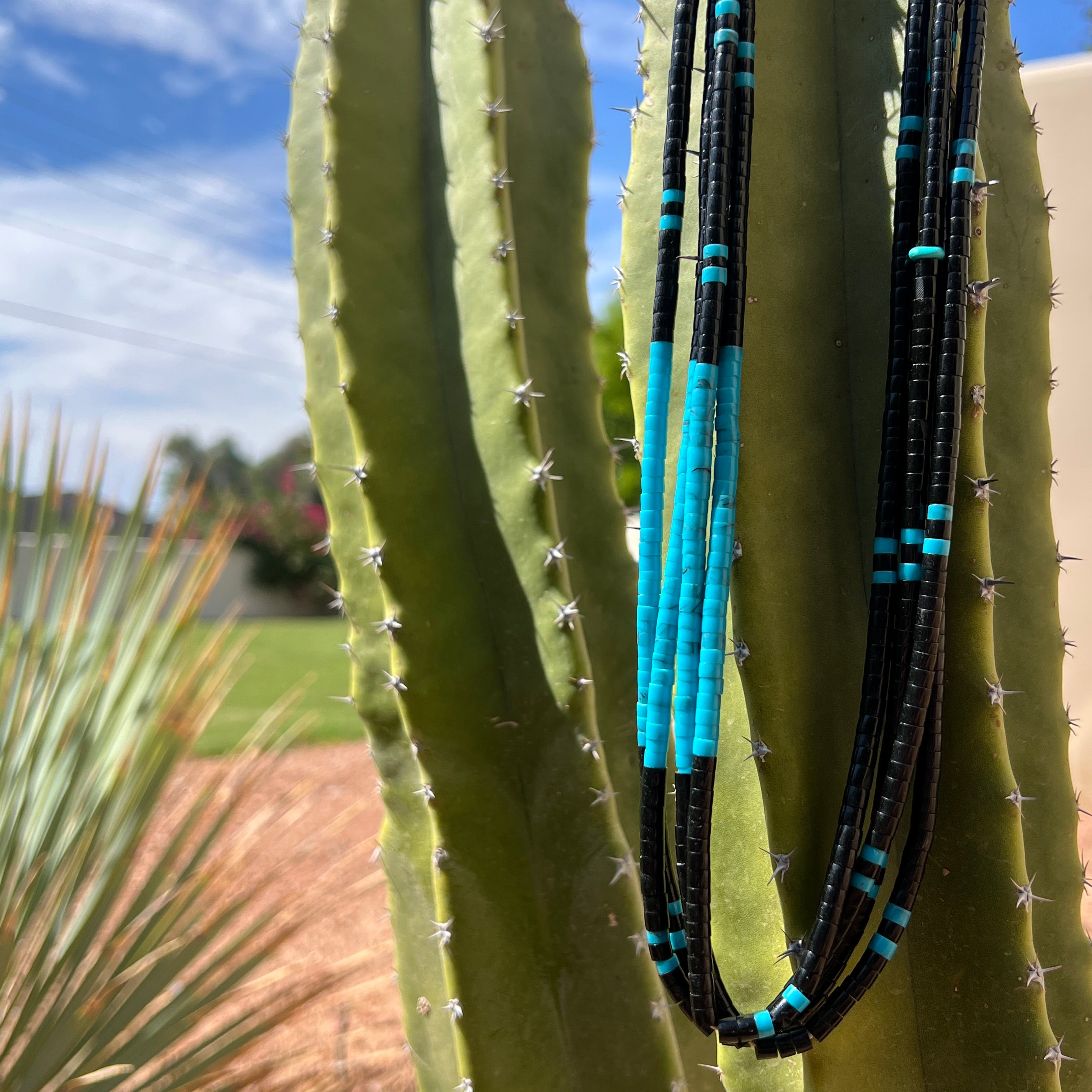 Black Jet and Turquoise Santo Domingo Necklace