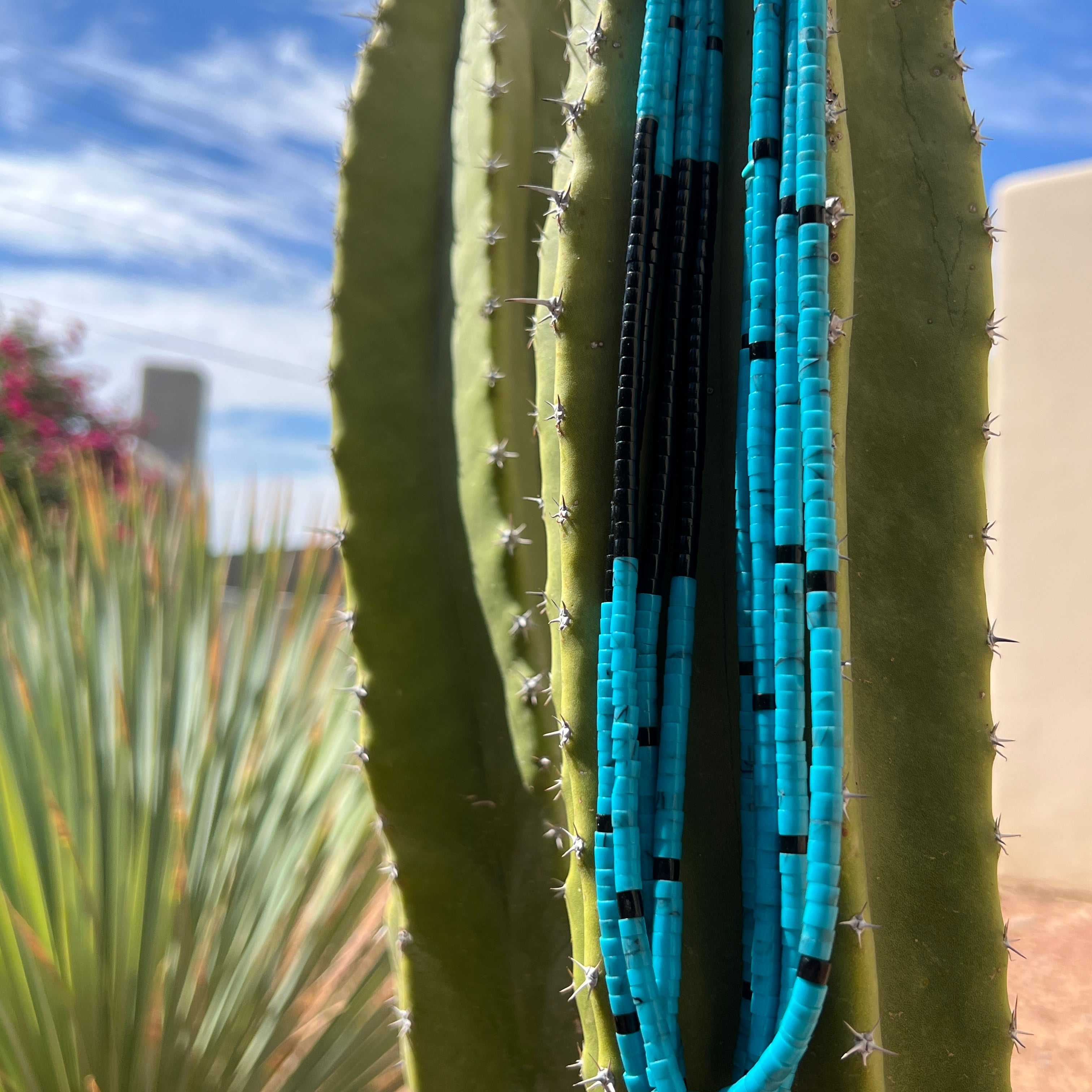 Turquoise and Black Jet Santo Domingo Necklace