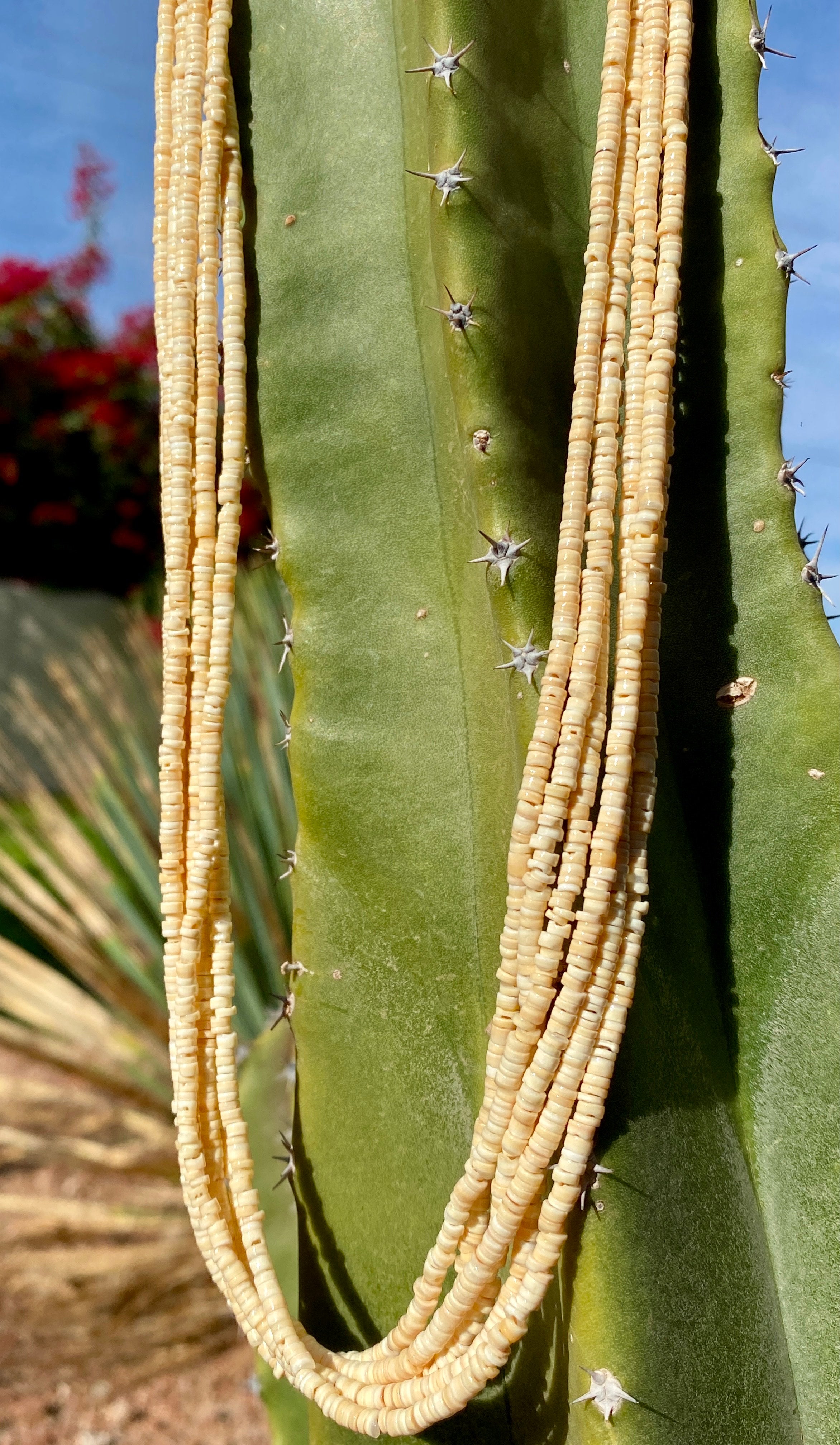 Melon Shell Heishi Necklace Santo Domingo