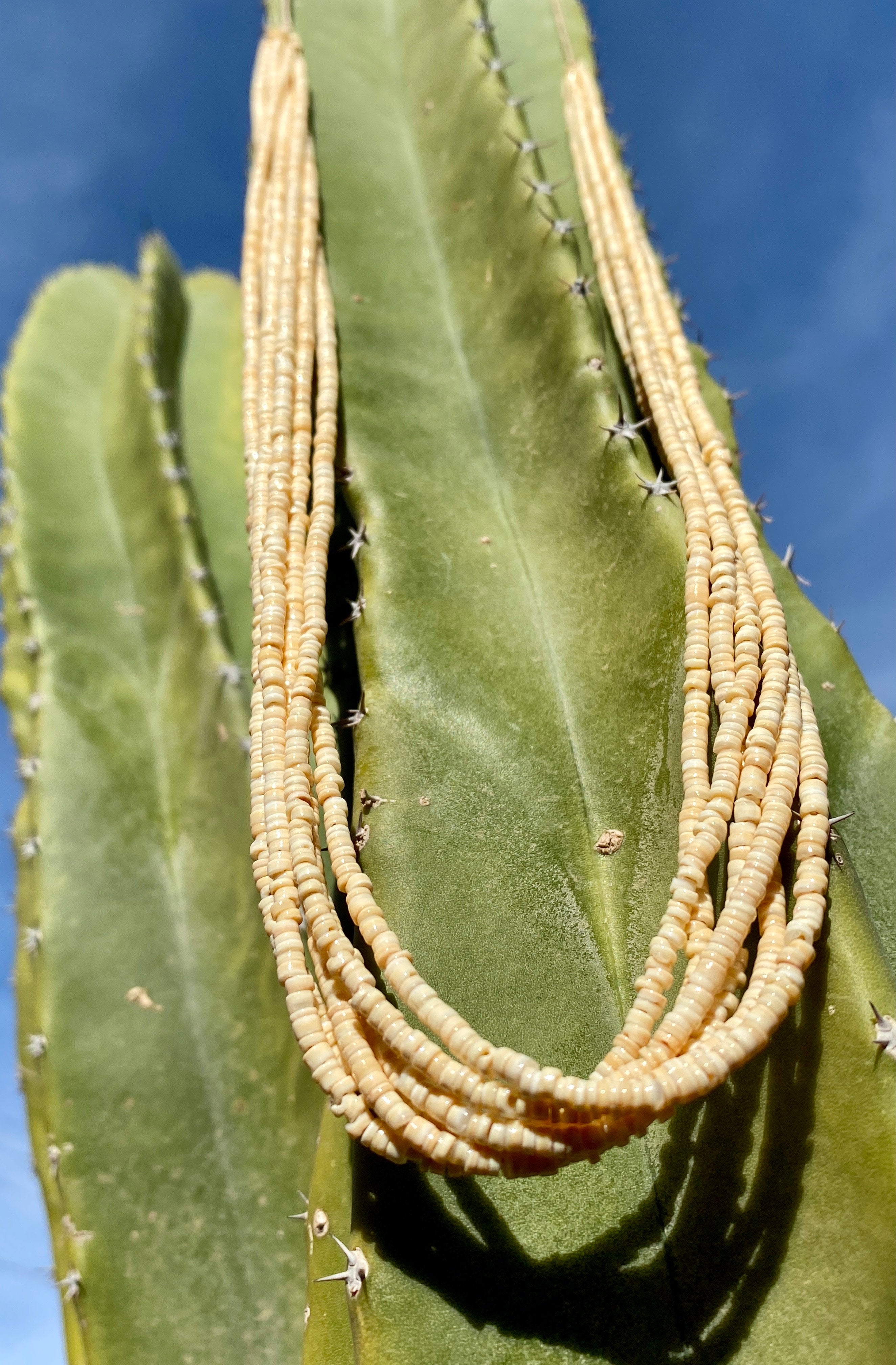 Melon Shell Heishi Necklace Santo Domingo
