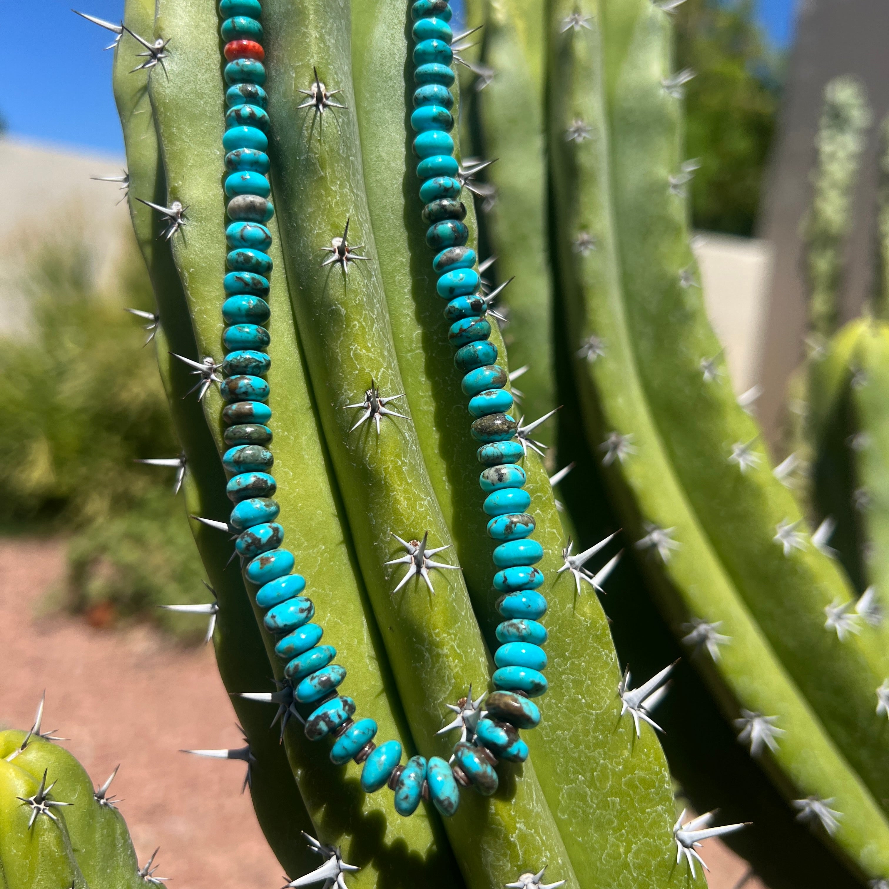 Rare Sleeping Beauty Graduated Turquoise Cheerio and Heishi Necklace Santo Domingo