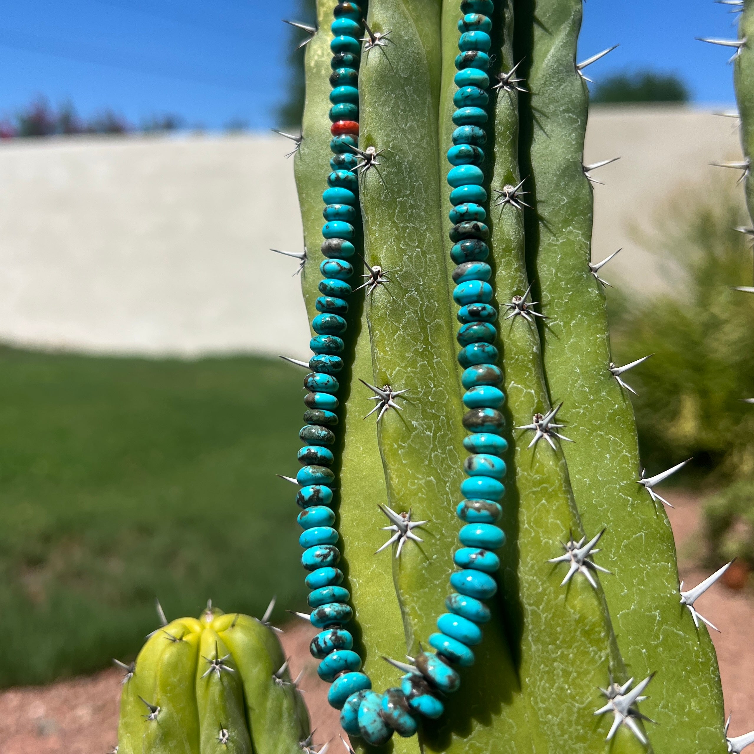 Rare Sleeping Beauty Graduated Turquoise Cheerio and Heishi Necklace Santo Domingo