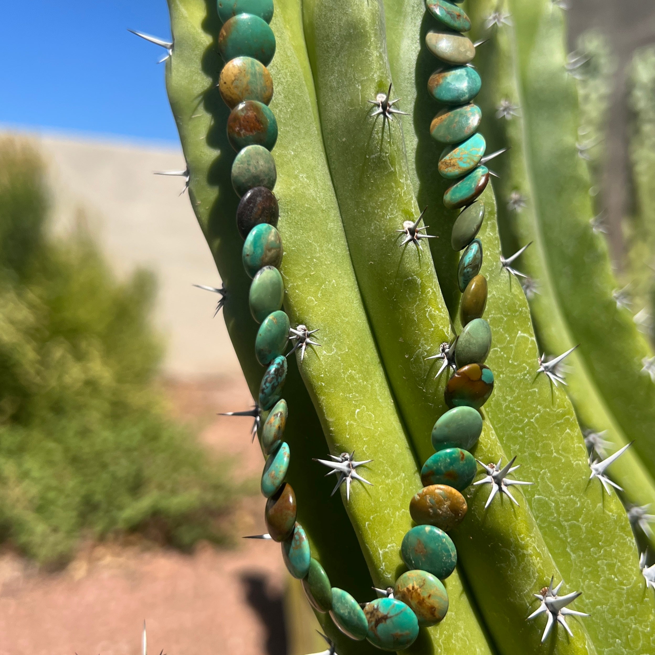 Rare Royston Disc Turquoise Necklace Santo Domingo