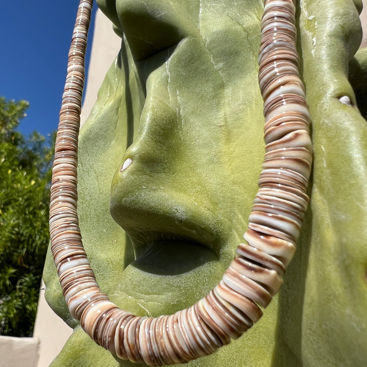 Olive Shell Heishi Necklace Santo Domingo
