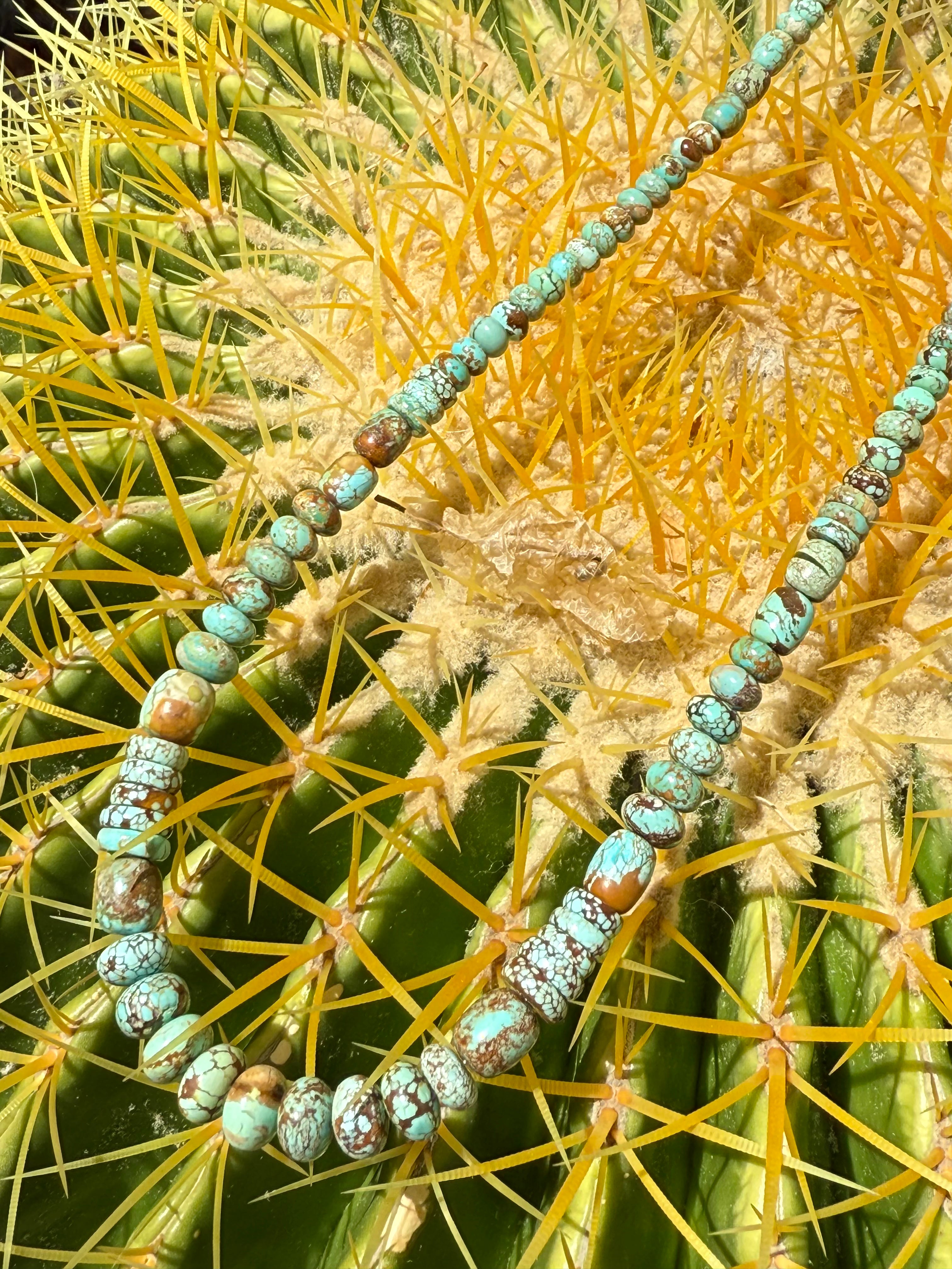 Rare Carico Lake Turquoise Graduated Necklace