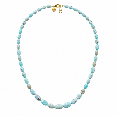 Exotic Rare Golden Hill Turquoise Graduated Necklace