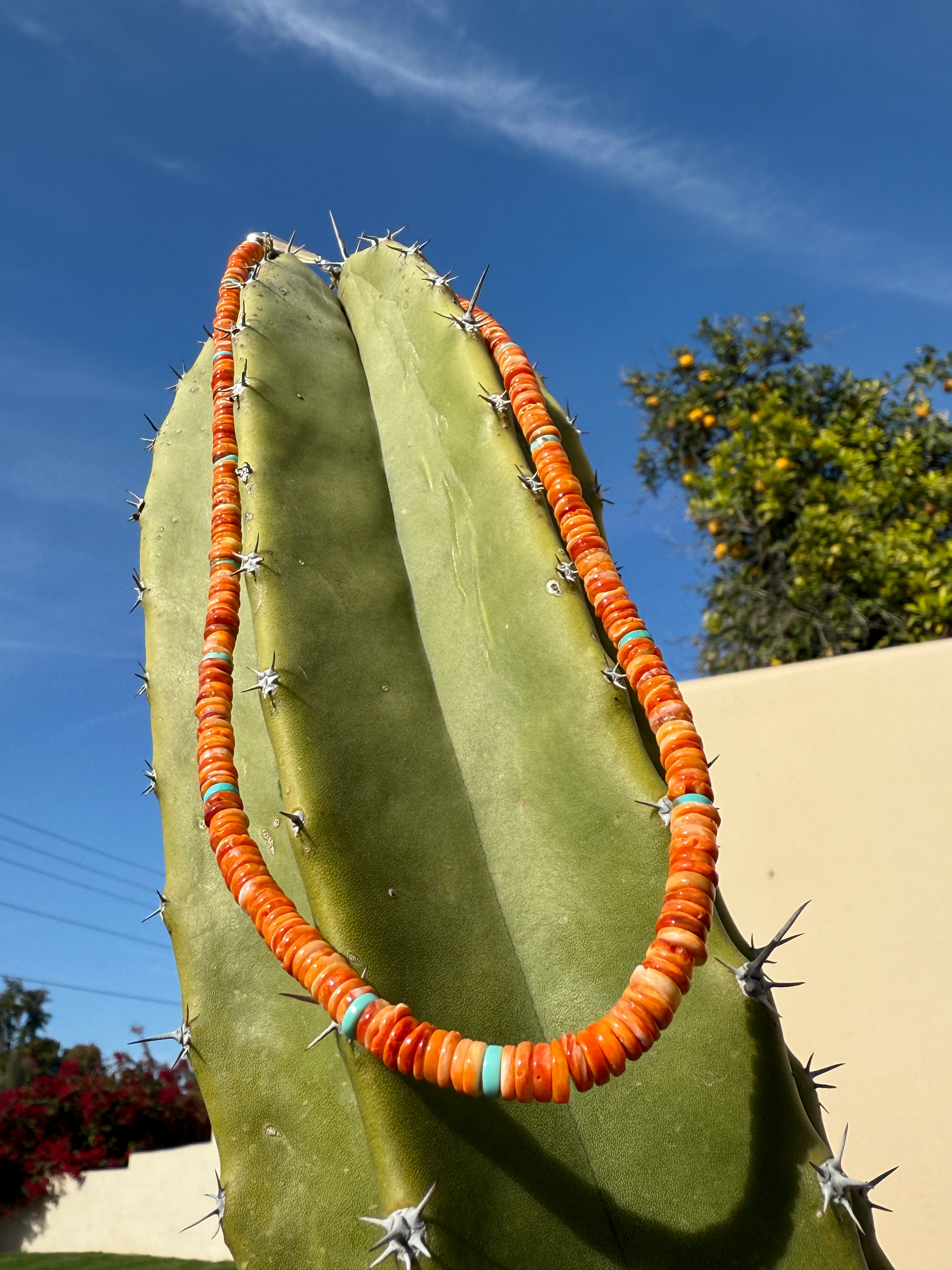 Orange and Red Spiny Oyster and Turquoise Necklace
